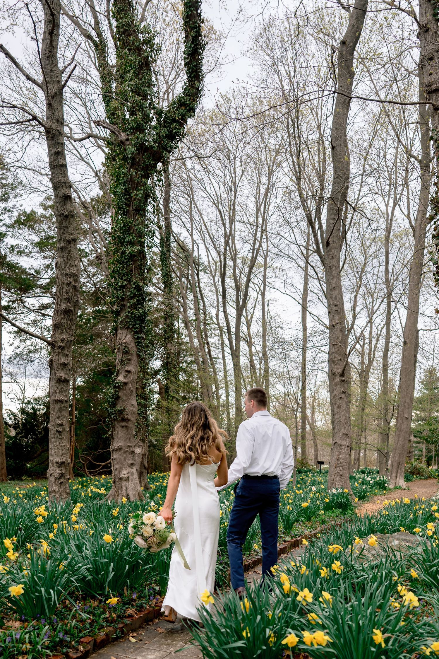 Couple walking through blooming daffodils during an engagement session at Blithewold Manor, Gardens & Arboretum in Bristol, Rhode Island.