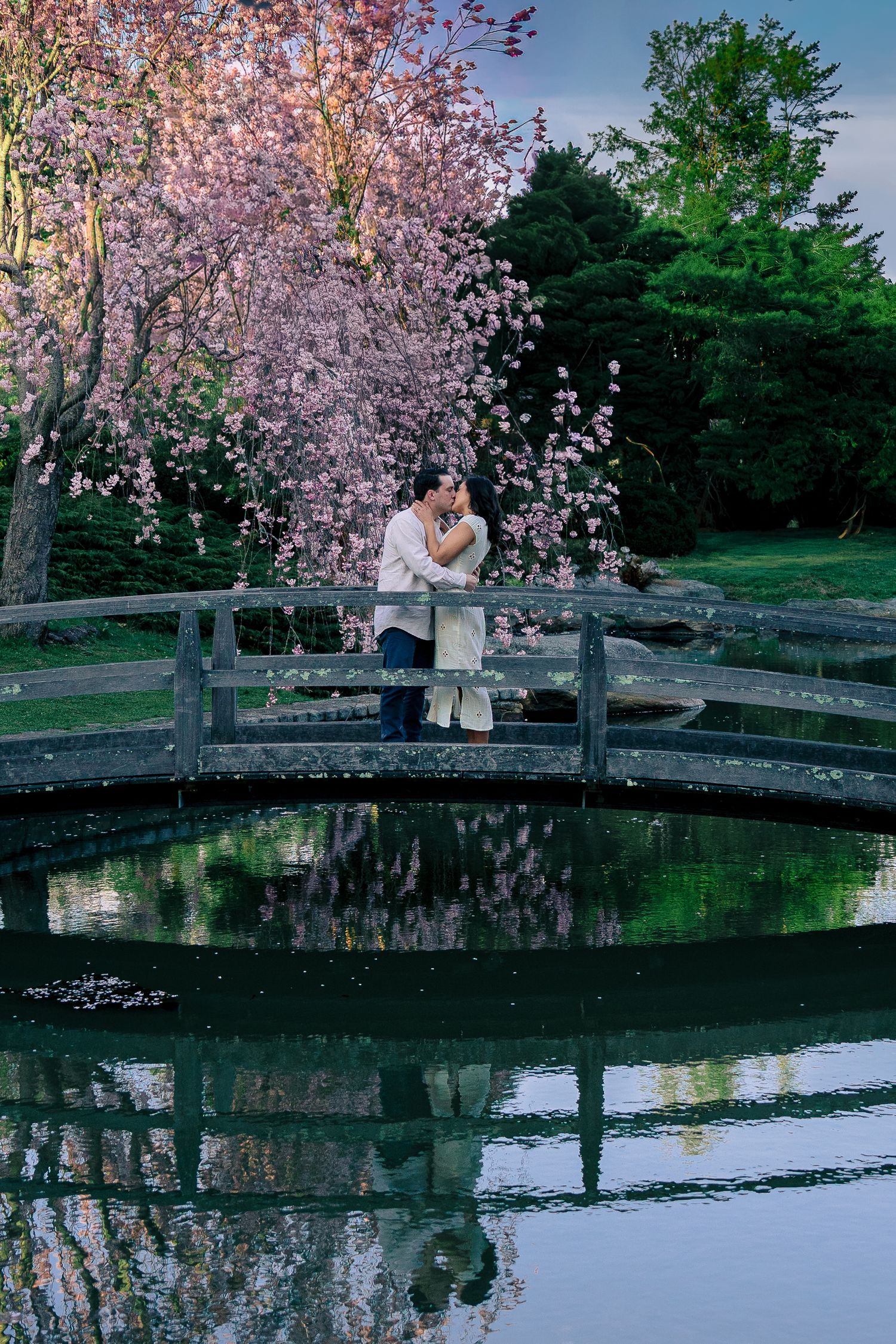 Couple standing on a bridge surrounded by blooming cherry blossoms at the Japanese Garden in Roger Williams Park, Providence.