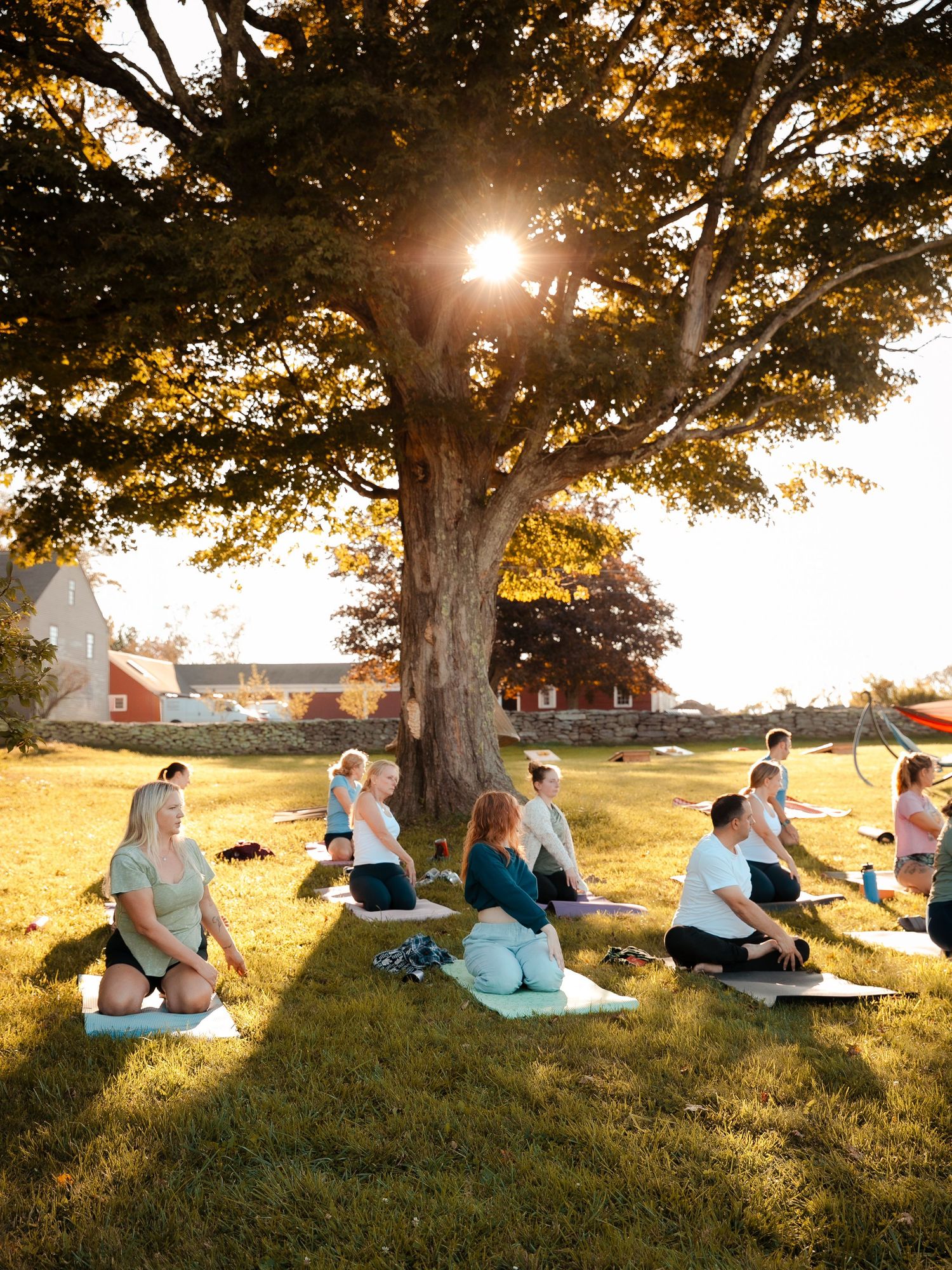 yoga in Brooklyn, ct under a tree
