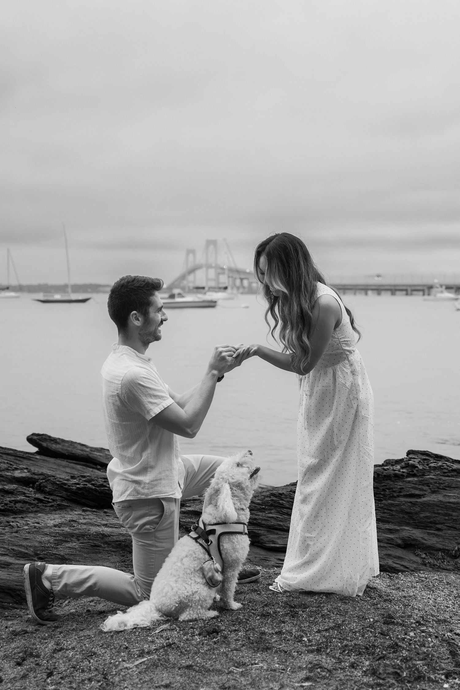 Black and white photo of a man on one knee proposing to a woman by the waterfront, with a small white dog nearby.