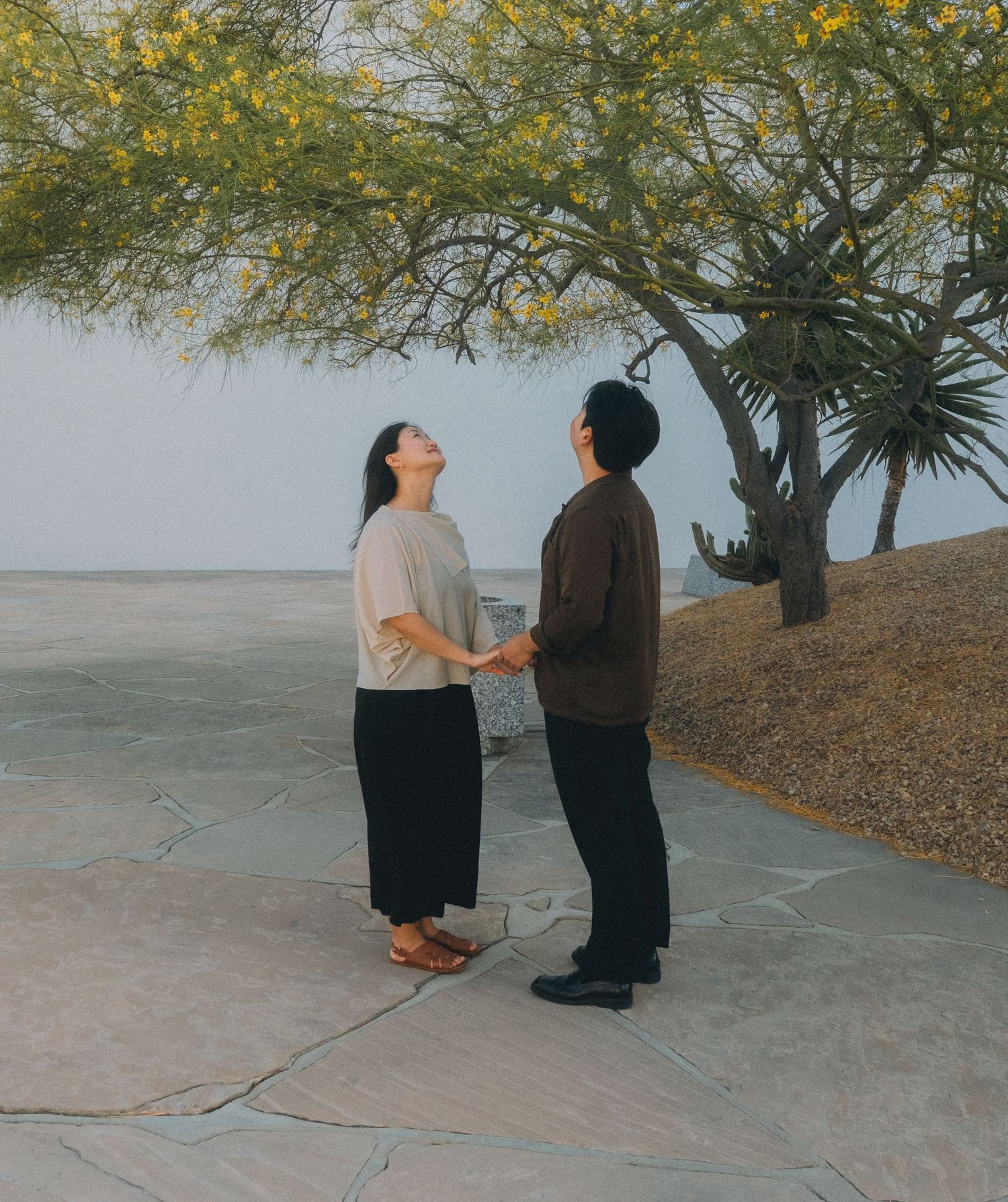 Couple holding hands under a yellow flowering tree, woman looking up at the sky outdoors.