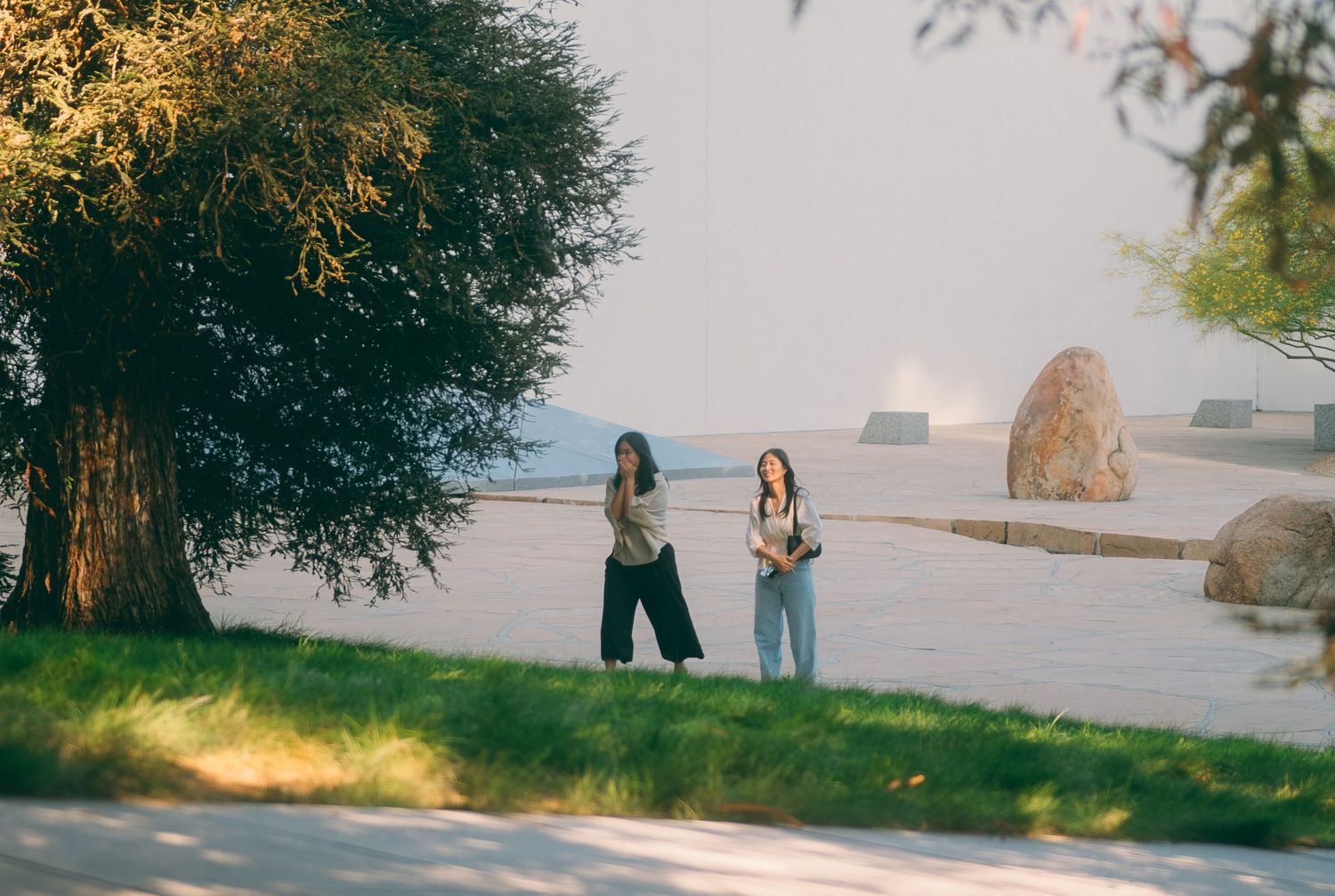 Two women stand on a grassy path near a large tree with a hazy landscape in the background.