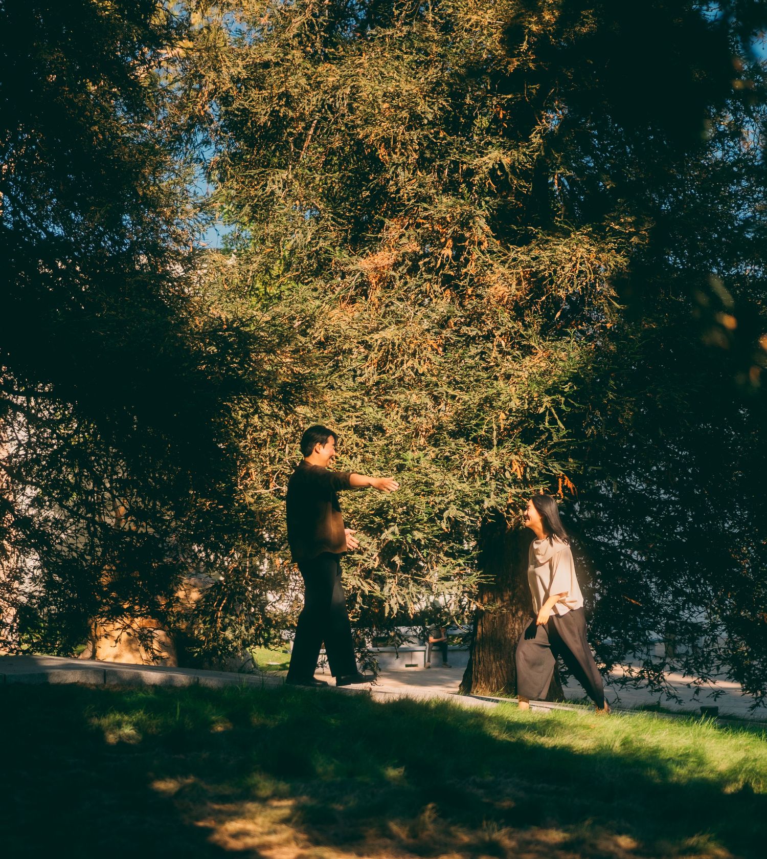 Couple walking together in a sunlit park surrounded by lush green and golden trees.
