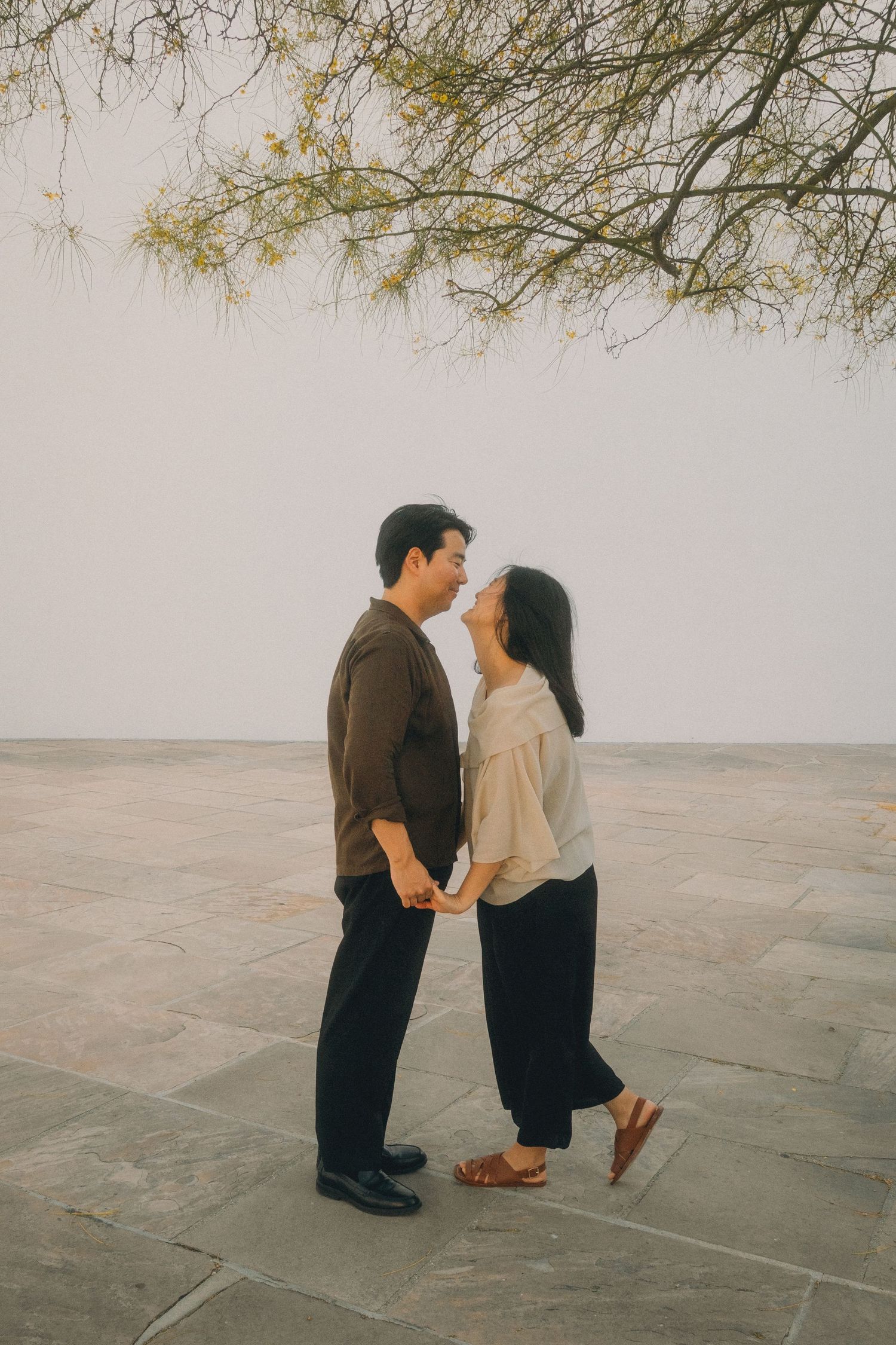 Couple holding hands and sharing a romantic moment on a stone plaza beneath a tree.
