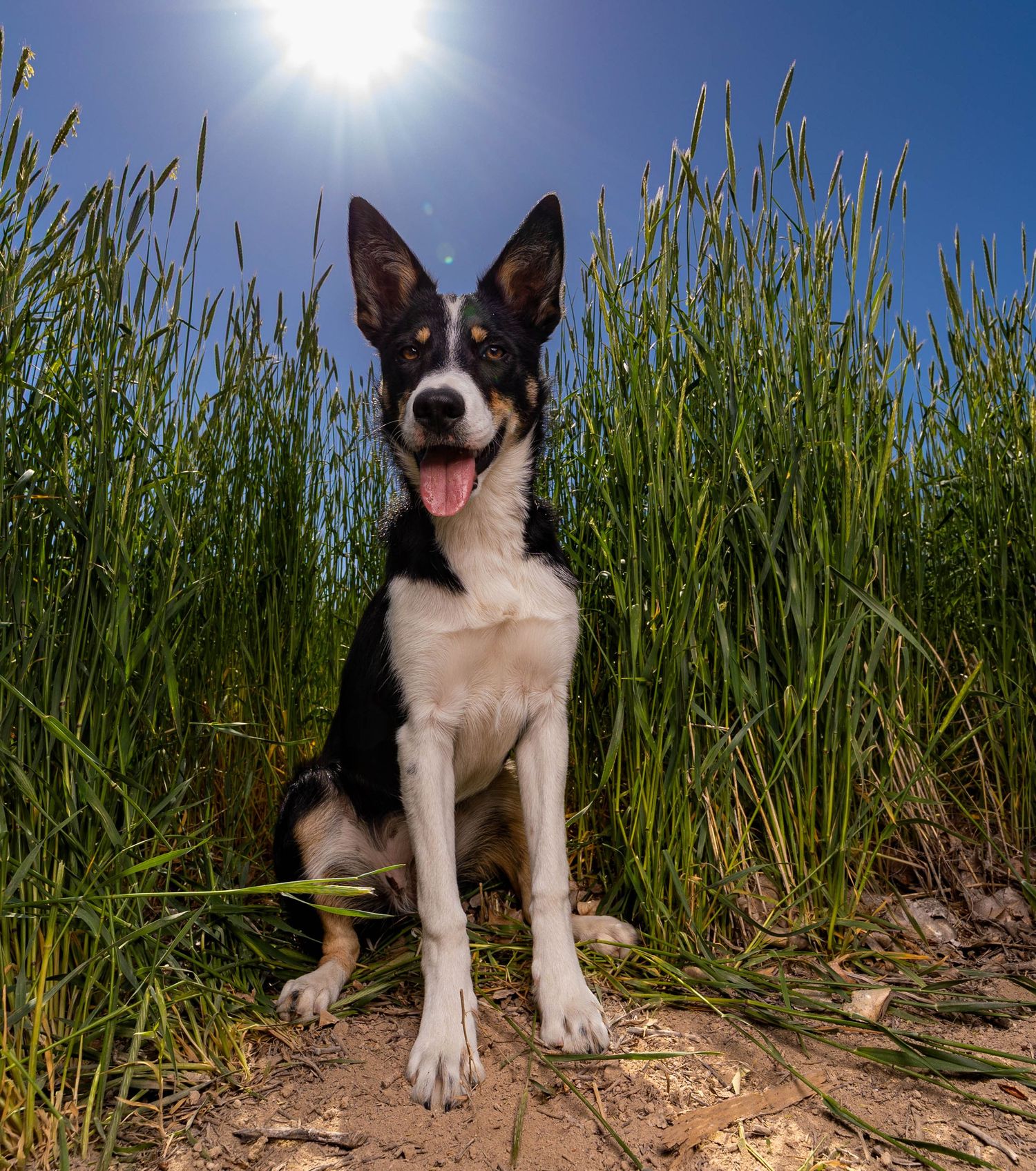 Big sky photo