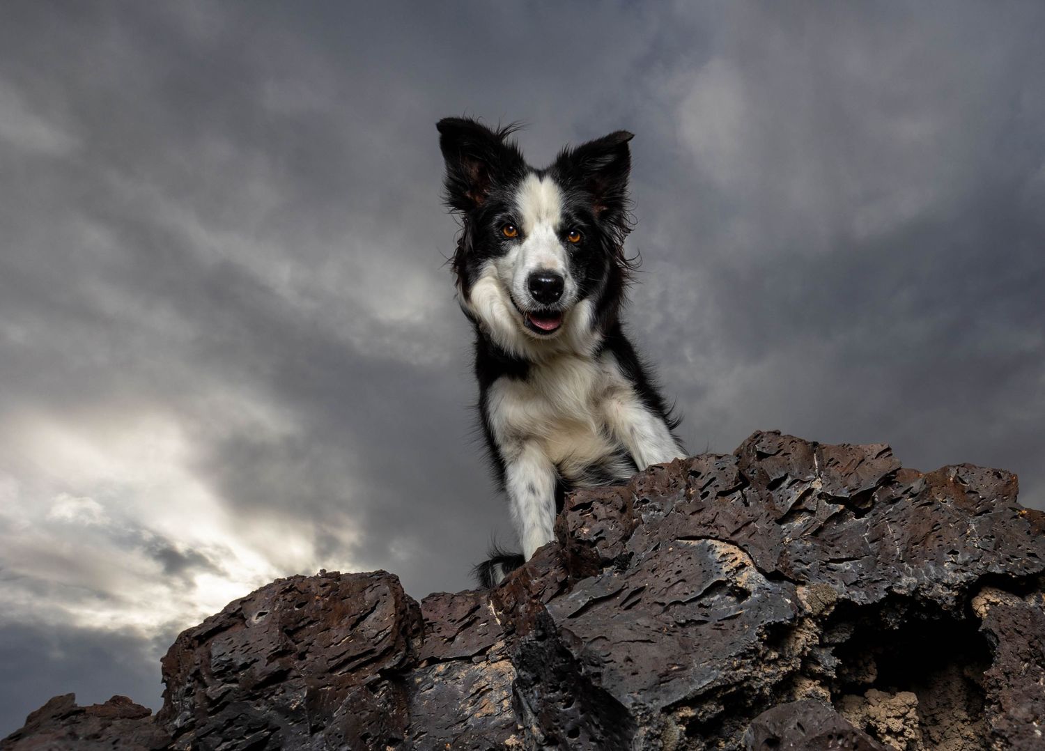 Big sky photo