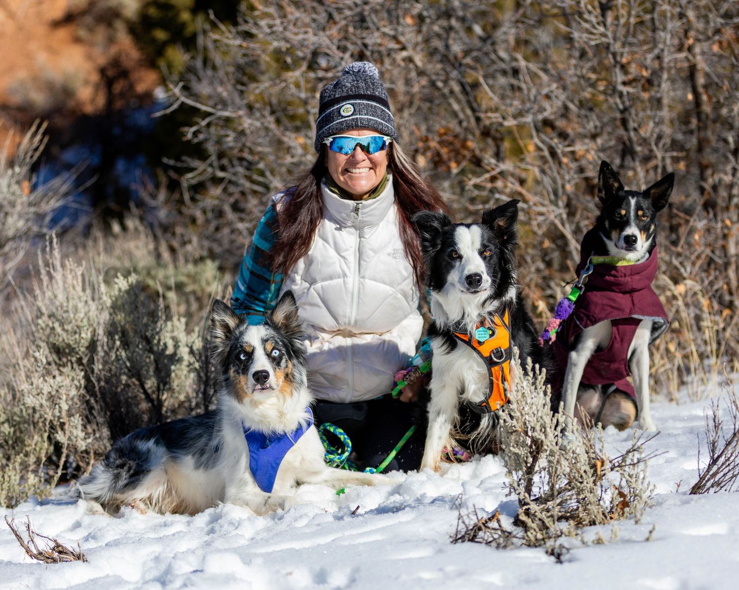 Hiking in the mountains with the border collies