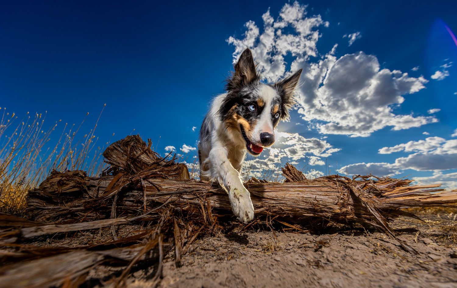 Big sky photo