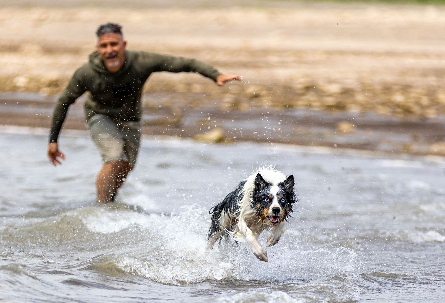 Dog Water photography