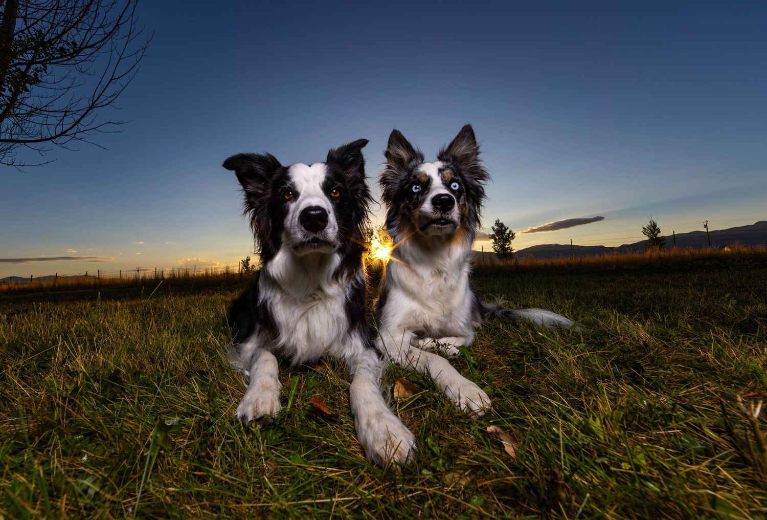 Big sky photo