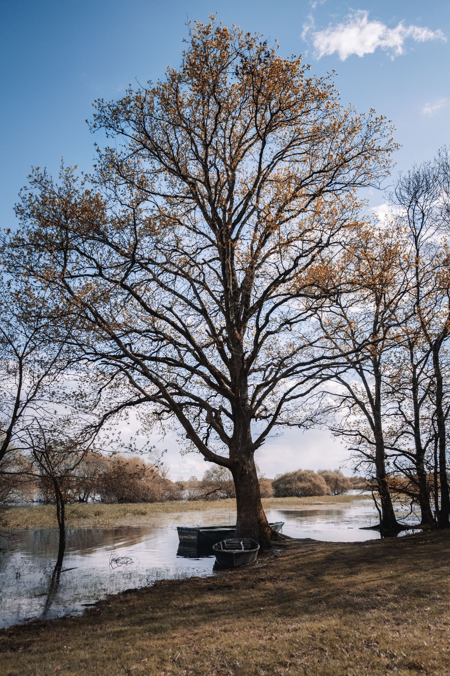 Bare autumn trees beside a calm river with a small boat, under a blue sky with light clouds.