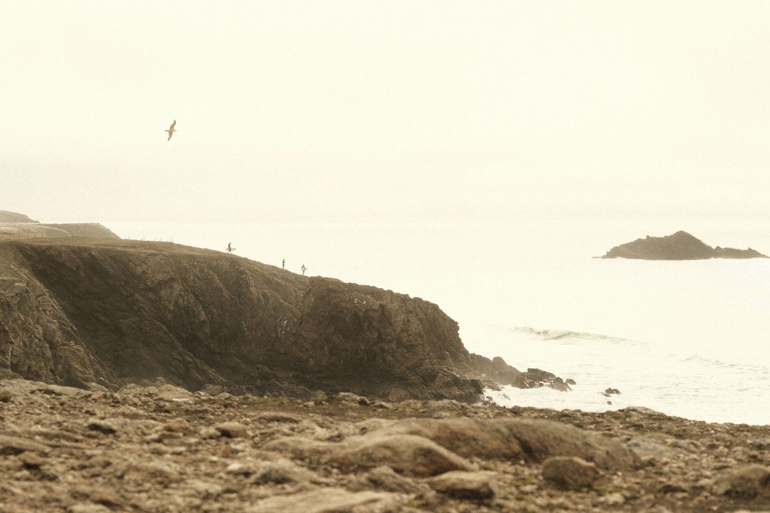 Rocky coastal cliffs overlooking a misty ocean with a small island and a bird soaring above the rugged shoreline.