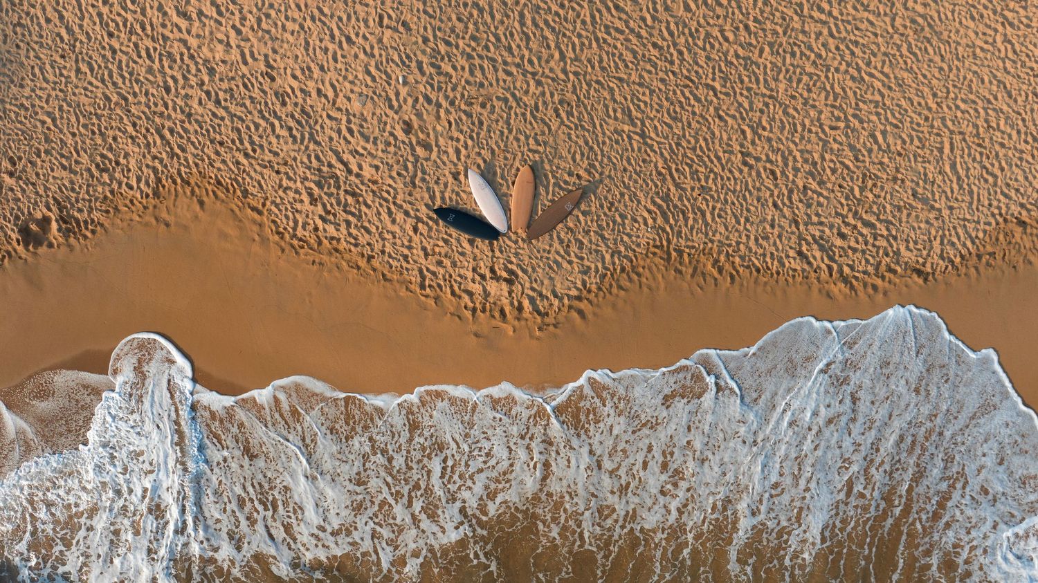 Aerial view of an open seashell on sandy beach with ocean waves gently washing ashore.