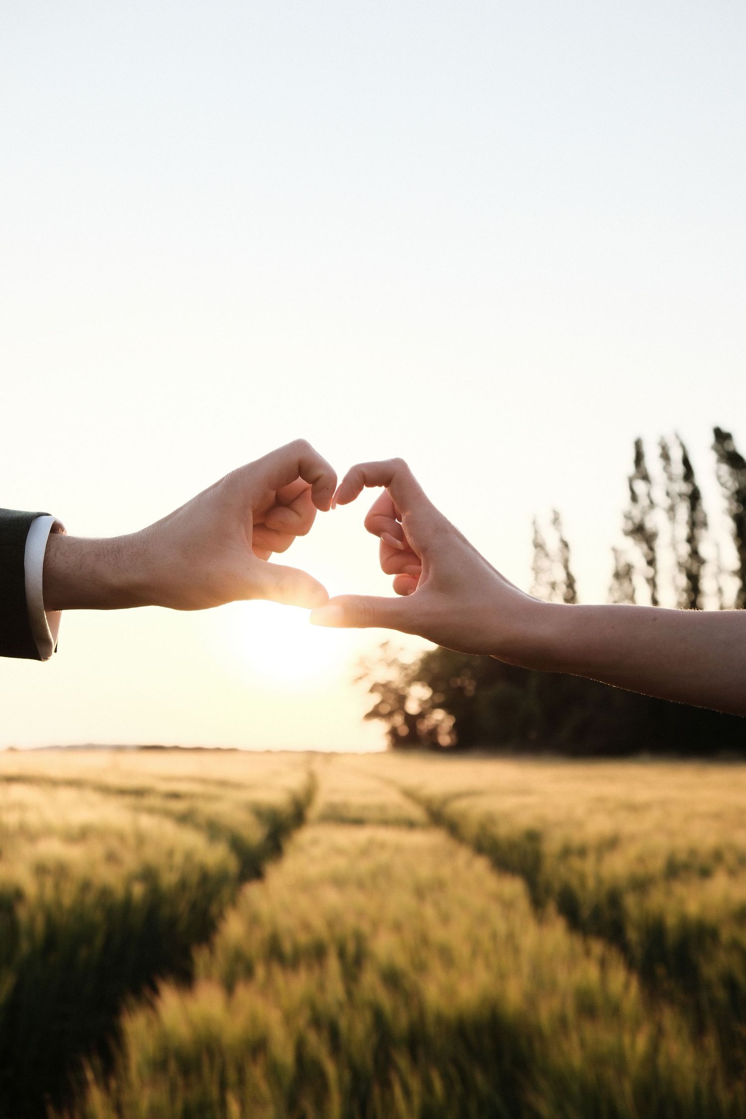 Couple forming a heart shape with their hands against a glowing sunset over a wheat field.