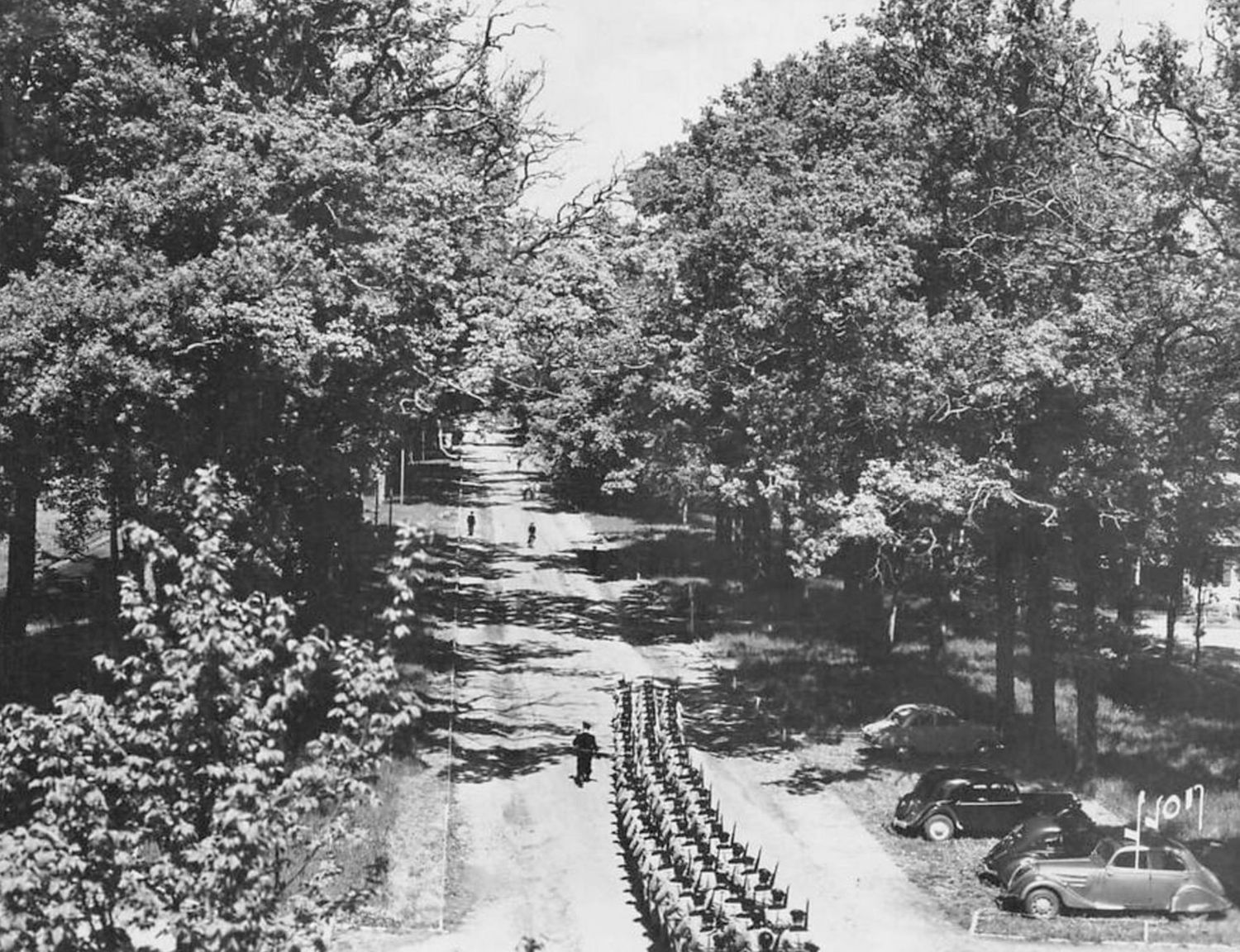 Vintage aerial black and white photo of a tree-lined driveway with a car parked along the road.