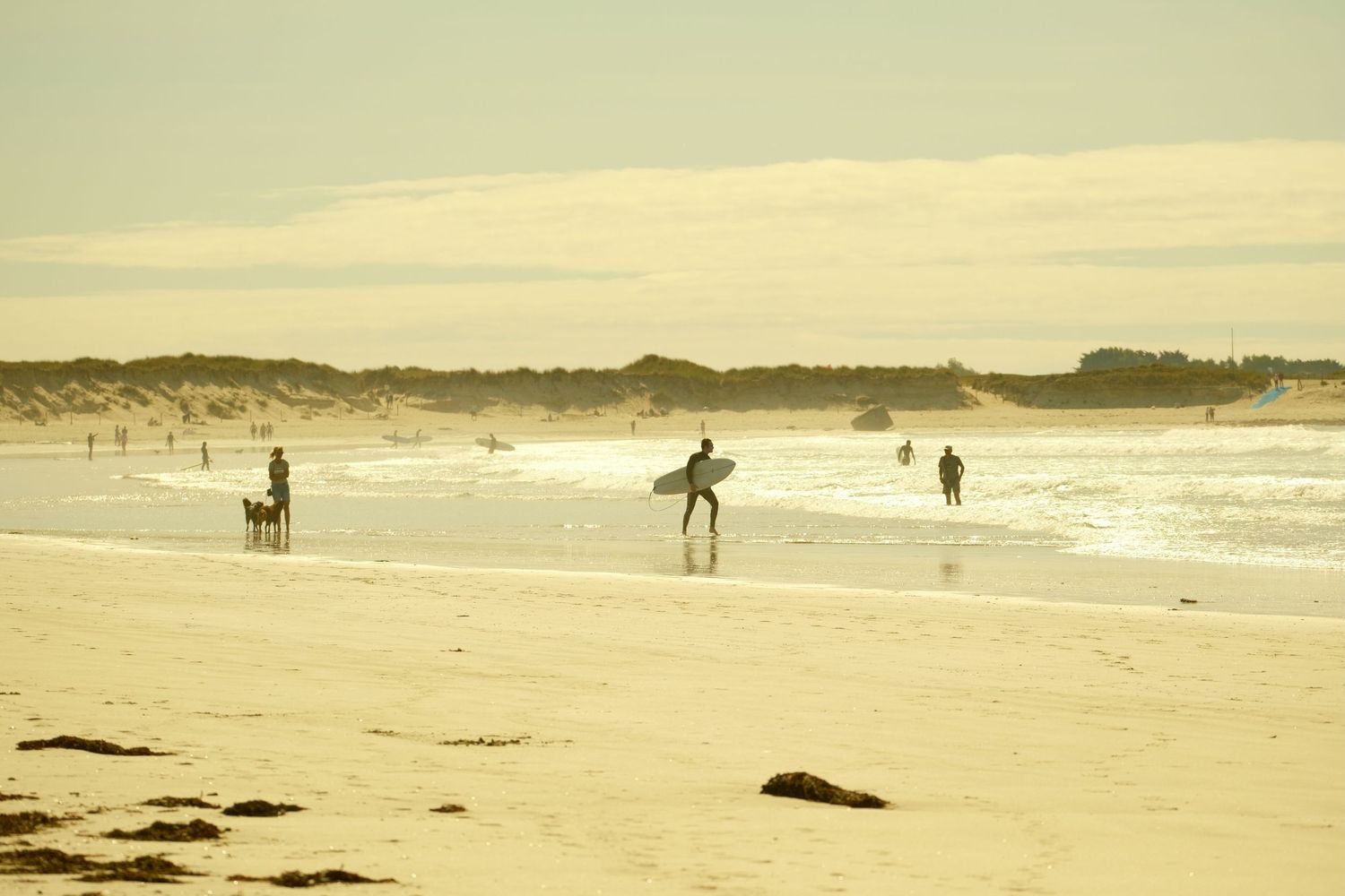 Surfers and beachgoers walk along a sandy beach at golden hour with gentle waves and dunes in the background.
