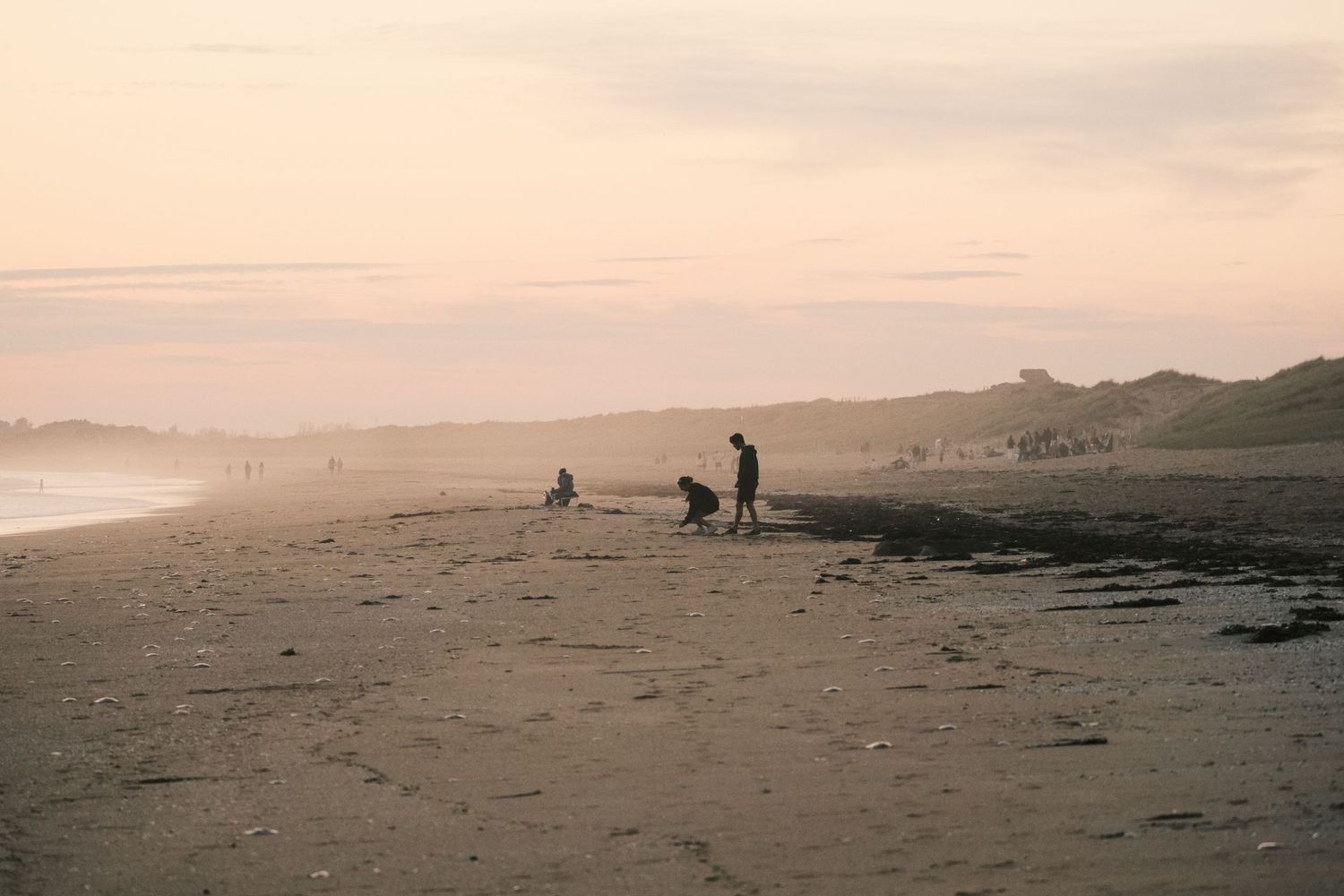 People and a dog playing on a wide sandy beach at dusk with soft pastel pink sky in background.