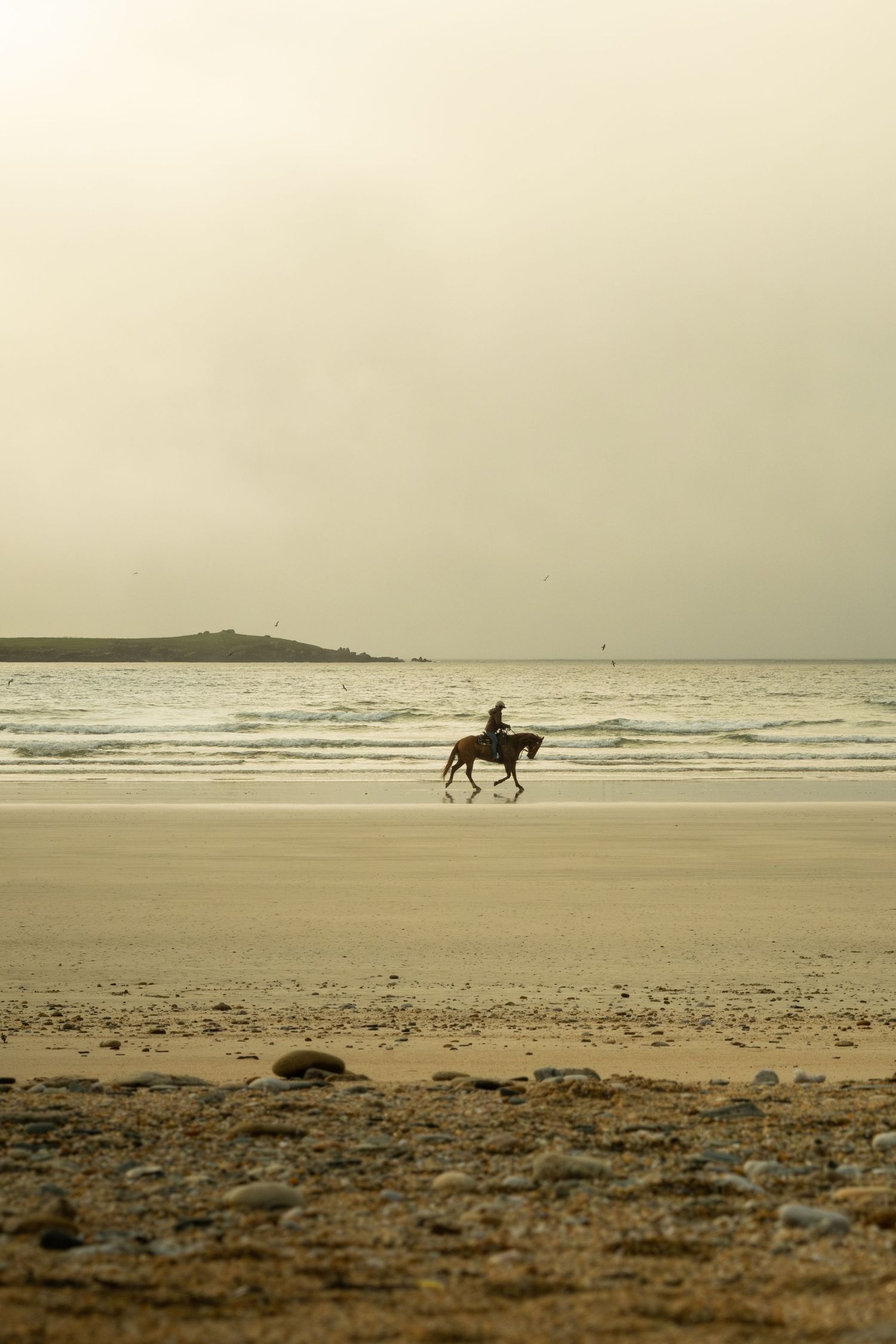 A lone horse and rider silhouetted against the ocean waves on a misty sandy beach at low tide.