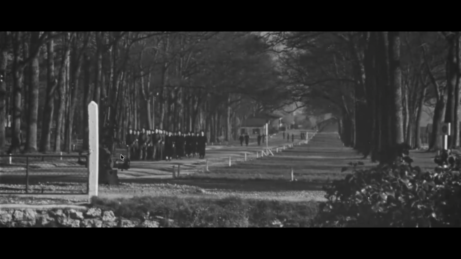 Black and white aerial view of a long tree-lined avenue with figures marching in the distance.