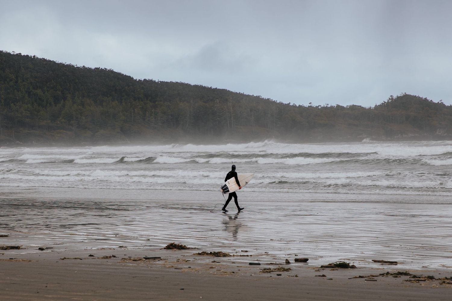 Dog running on a foggy beach with waves crashing in the background.