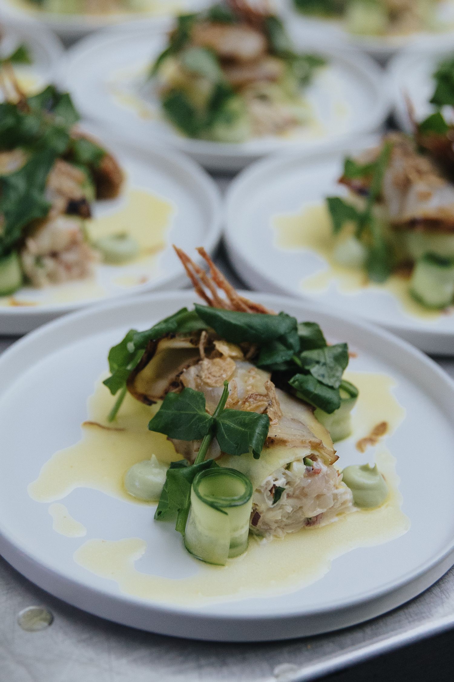 Multiple plates of gourmet fish dishes with green garnishes and yellow sauce arranged in rows.