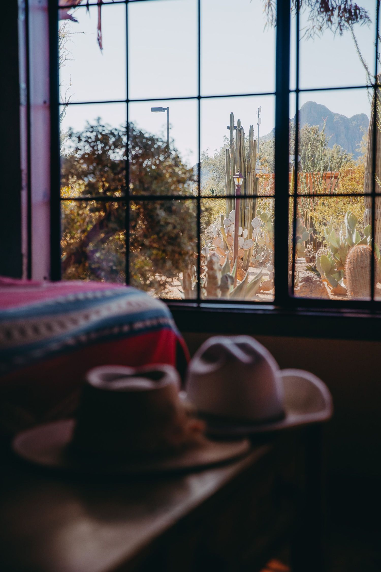 Desert landscape view through large windows with mountain silhouettes in the background.