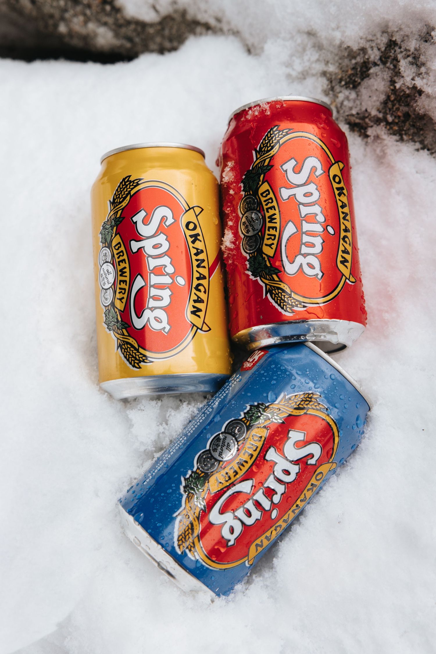Spring Brewery beer cans nestled in fresh snow showing different varieties.