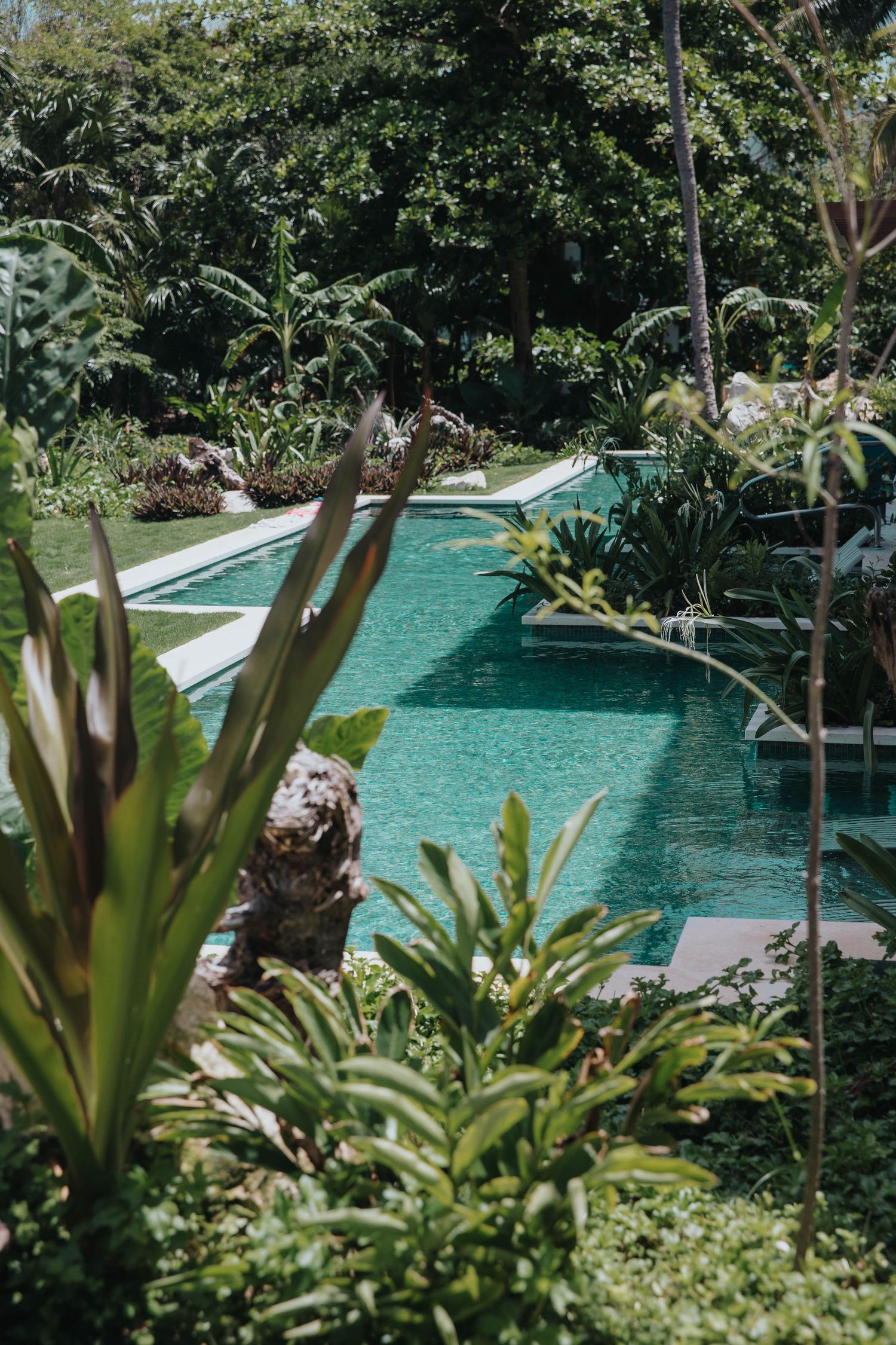 Lush tropical garden with infinity pool surrounded by exotic plants and palms.