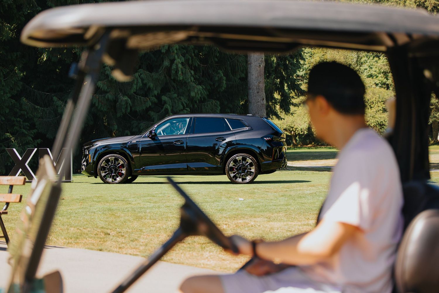 Cars parked under shady trees in a peaceful outdoor setting.