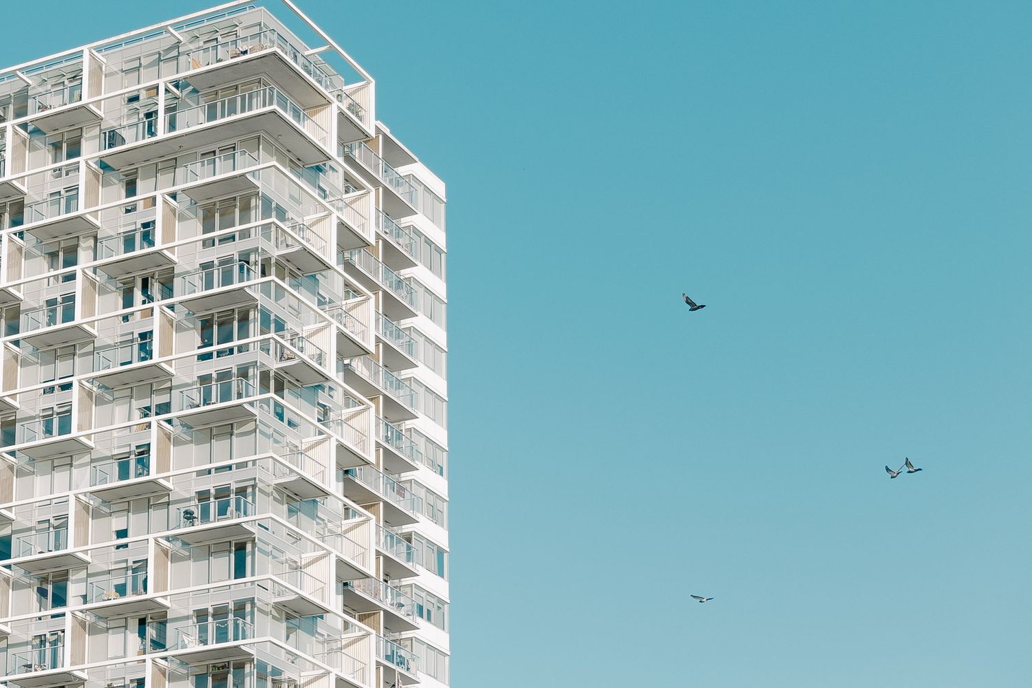 Modern white apartment building with balconies against bright blue sky with birds flying overhead.