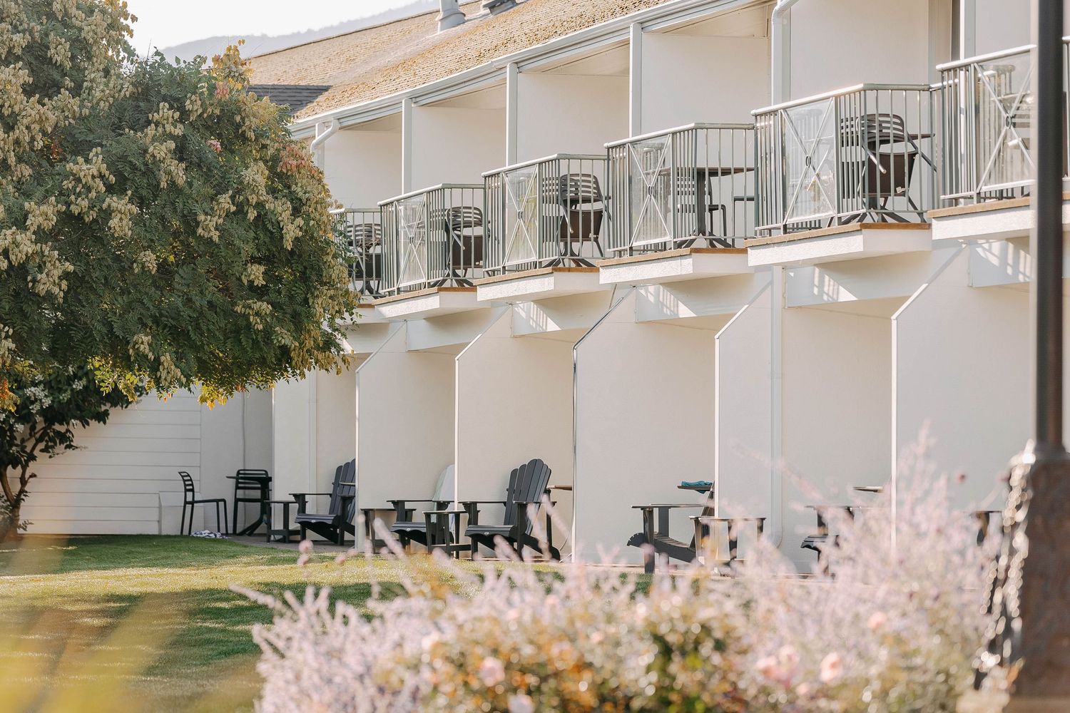 White apartment building with private balconies and pink flowering trees in foreground.