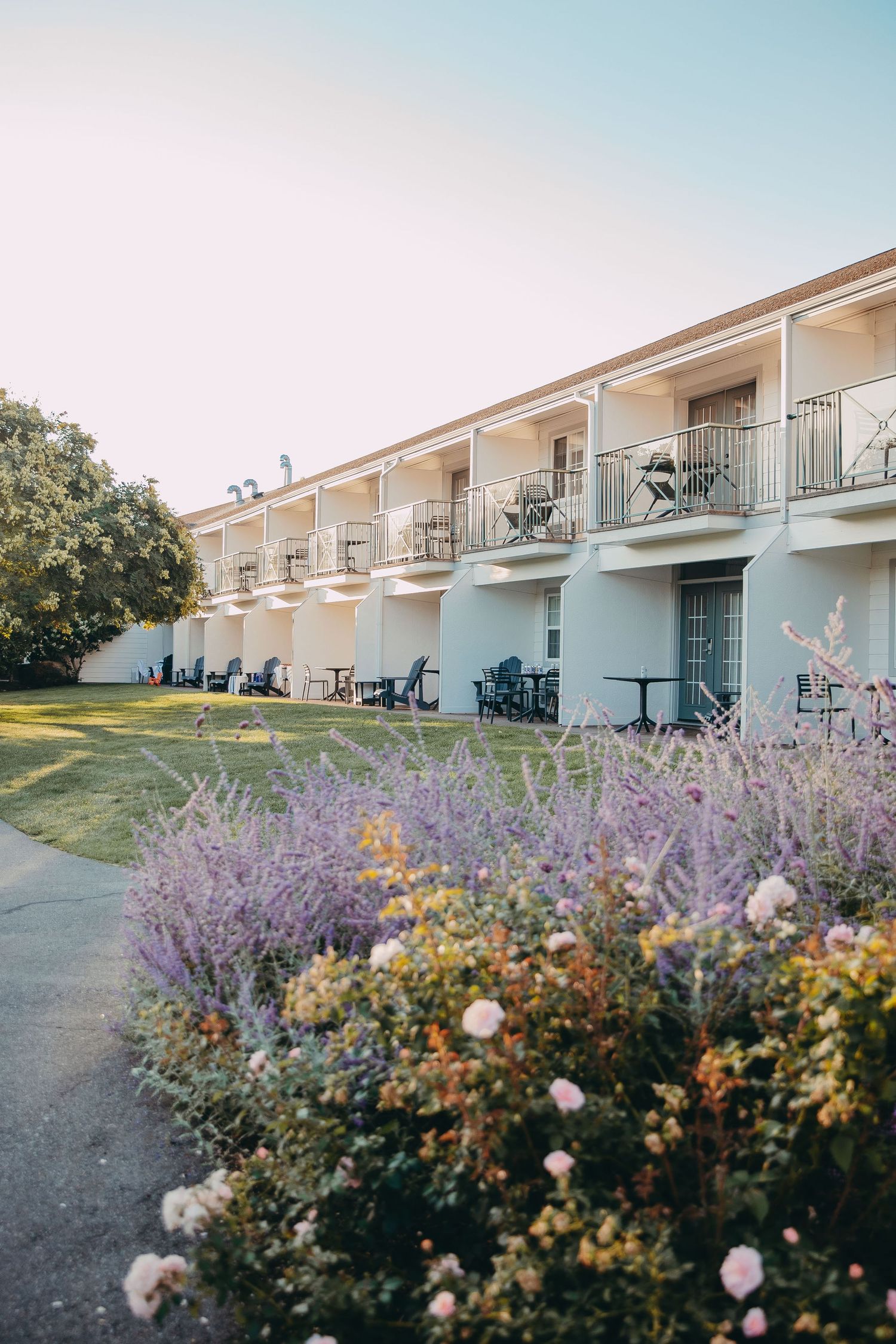White apartment building with balconies surrounded by colorful purple and orange flowers in bloom.