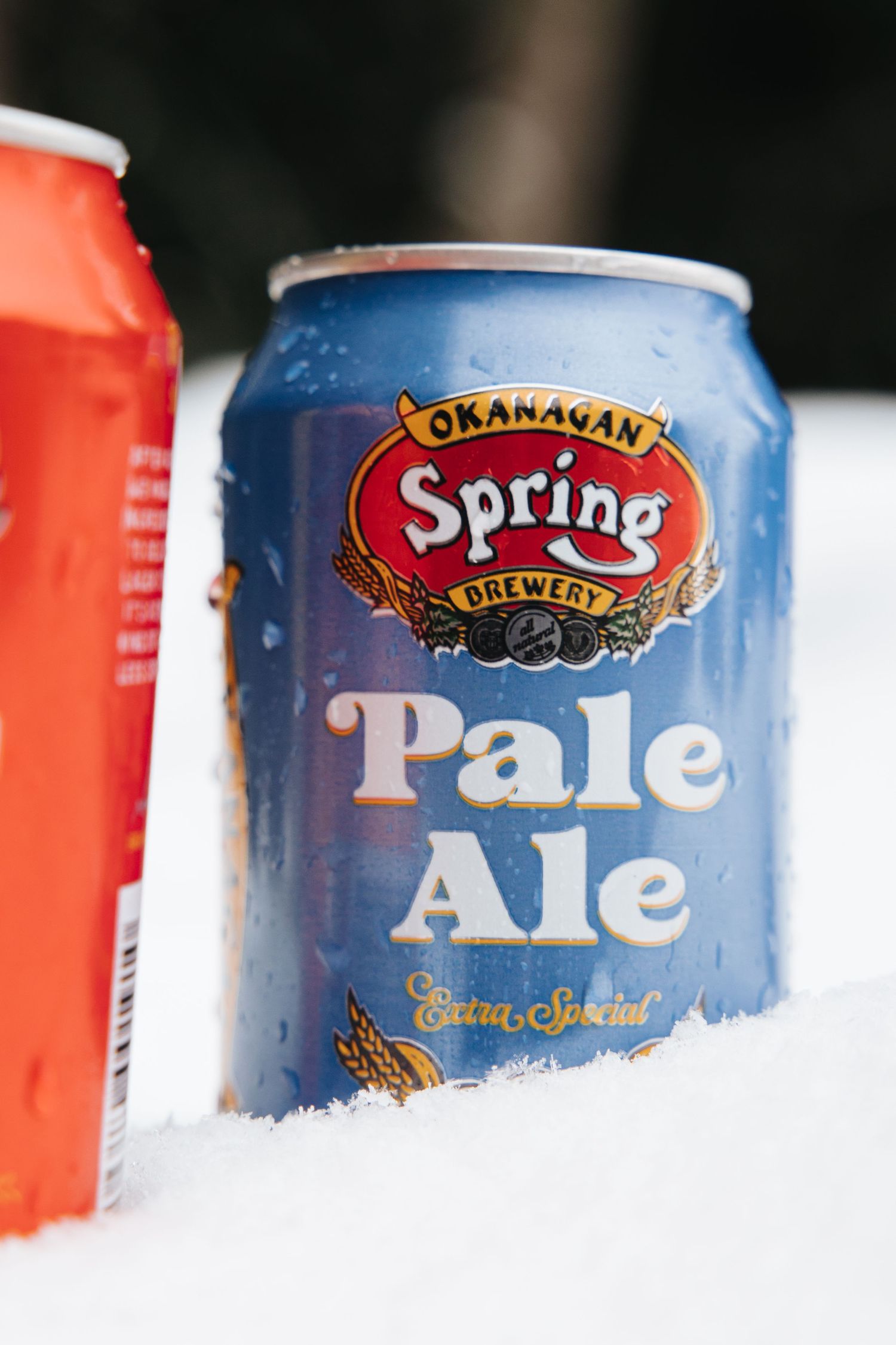 Close-up of Spring Pale Ale beer can lying in snow.
