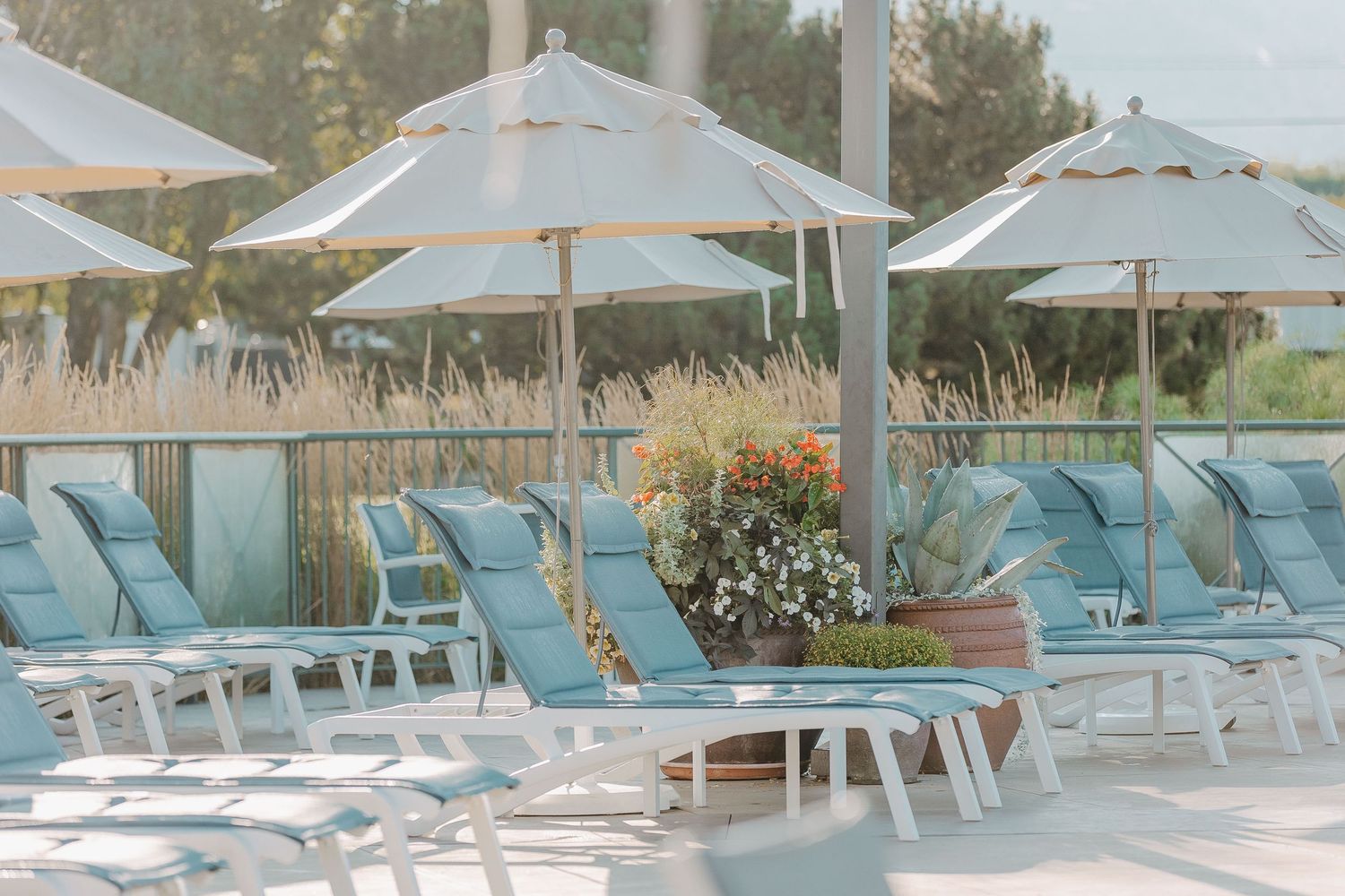 Resort pool area with blue lounge chairs and white umbrellas on a sunny day.