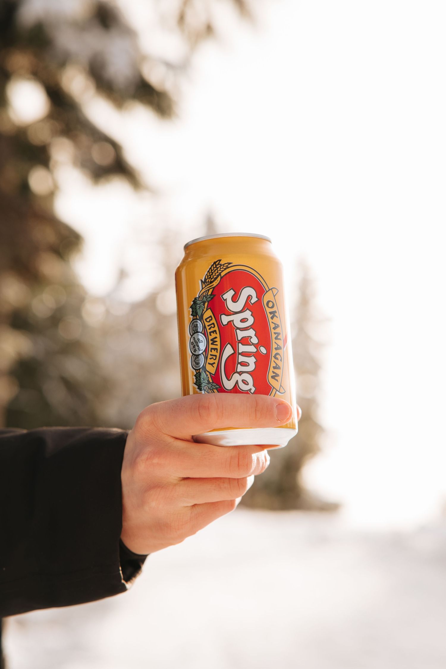 Hand holding a Spring Brewery beer can against snowy winter background.