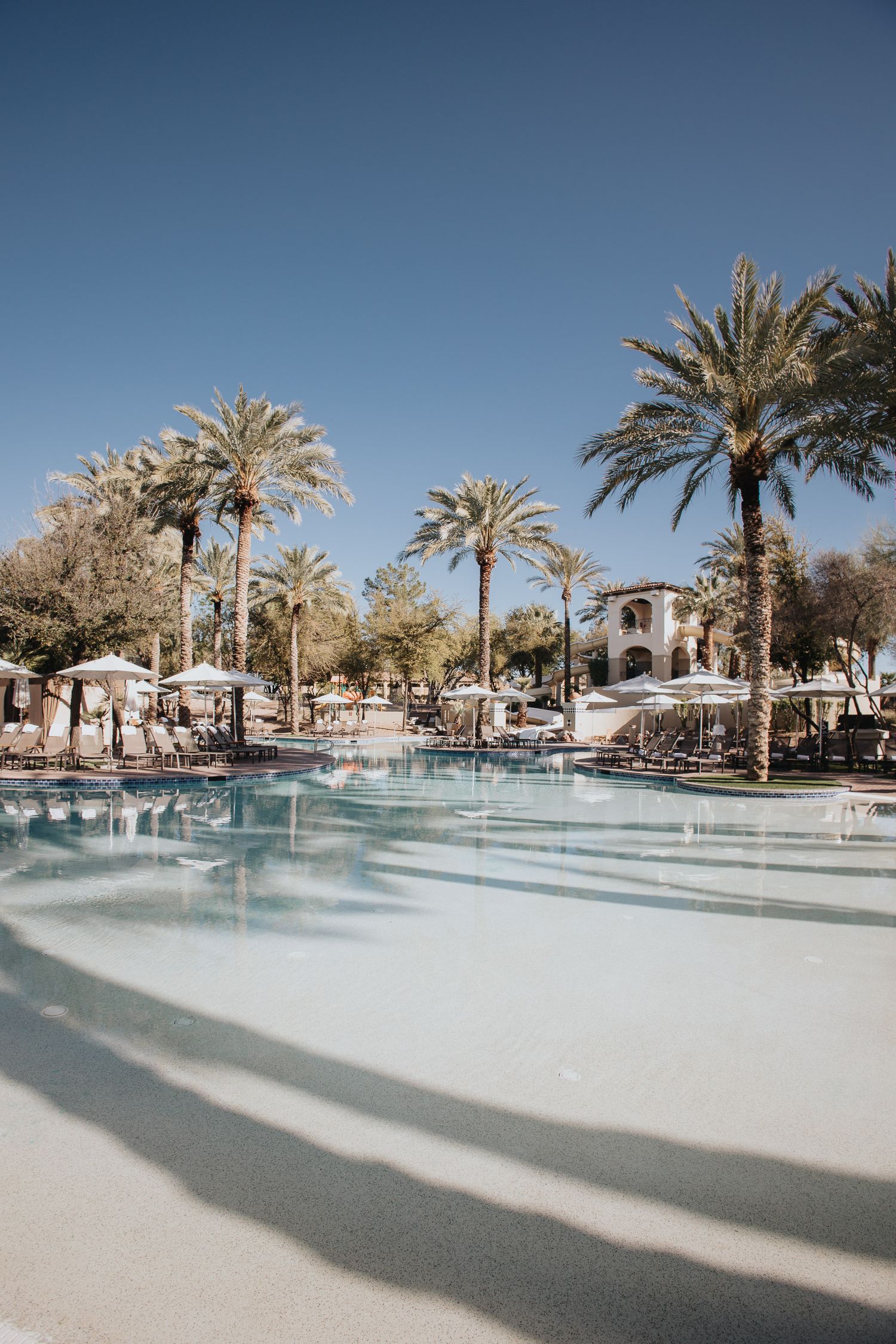 Expansive resort swimming pool surrounded by palm trees and lounge chairs.