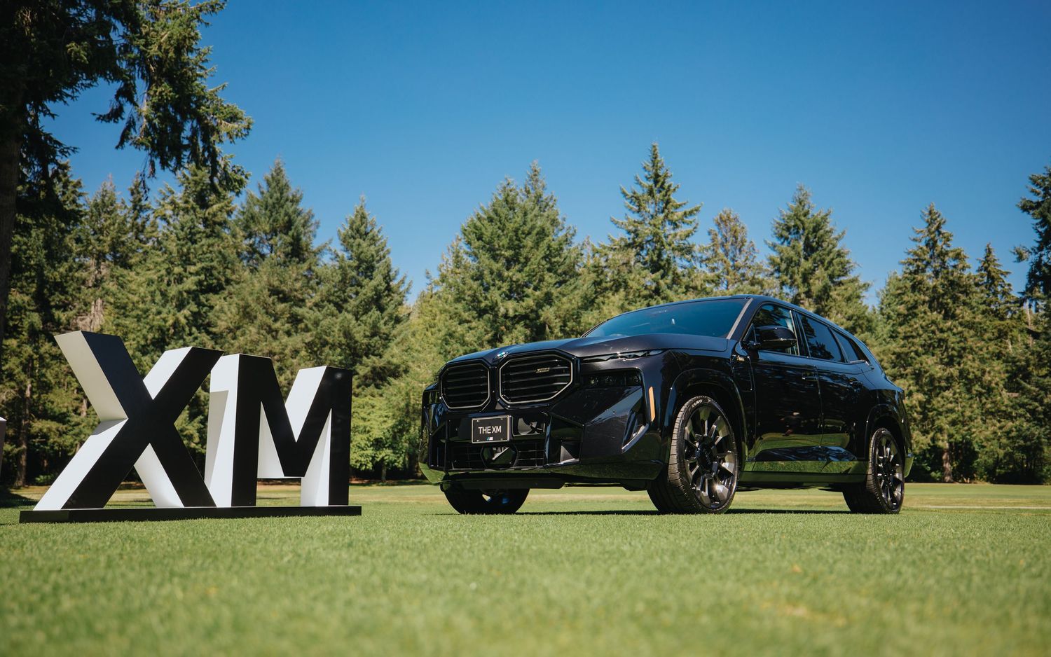 Row of luxury sports cars lined up on green grass with trees in background.