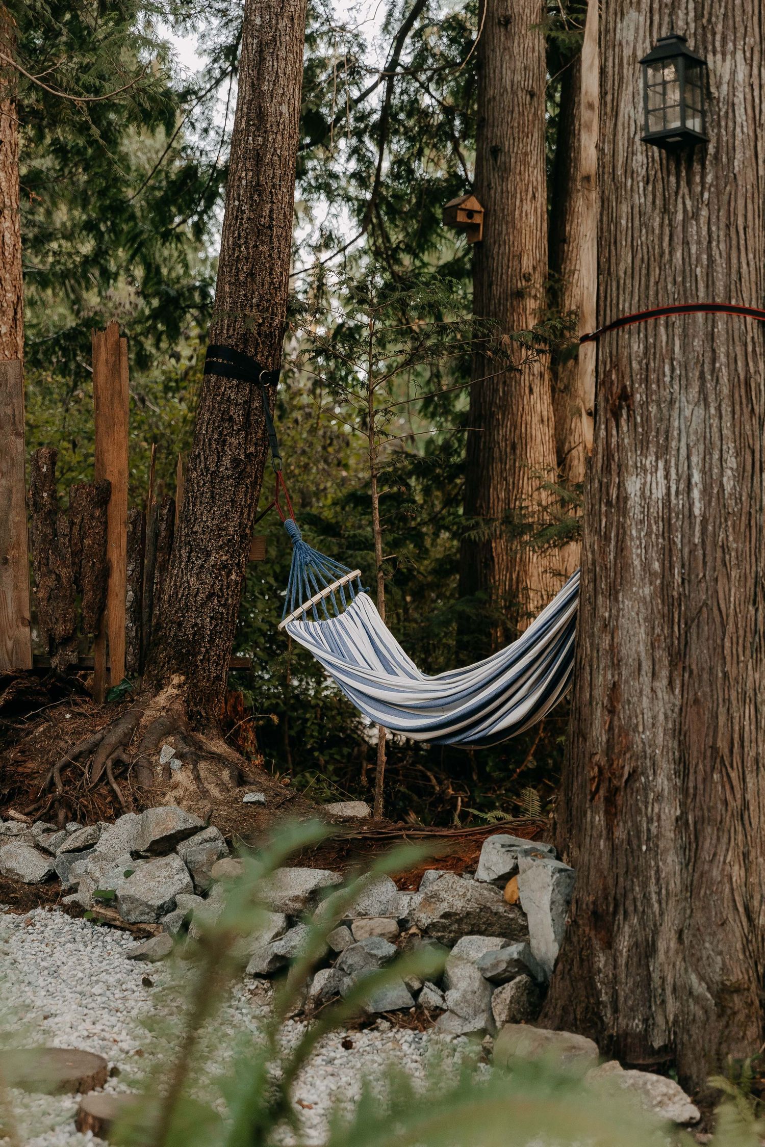 Striped hammock hanging between tall trees in a peaceful forest setting.
