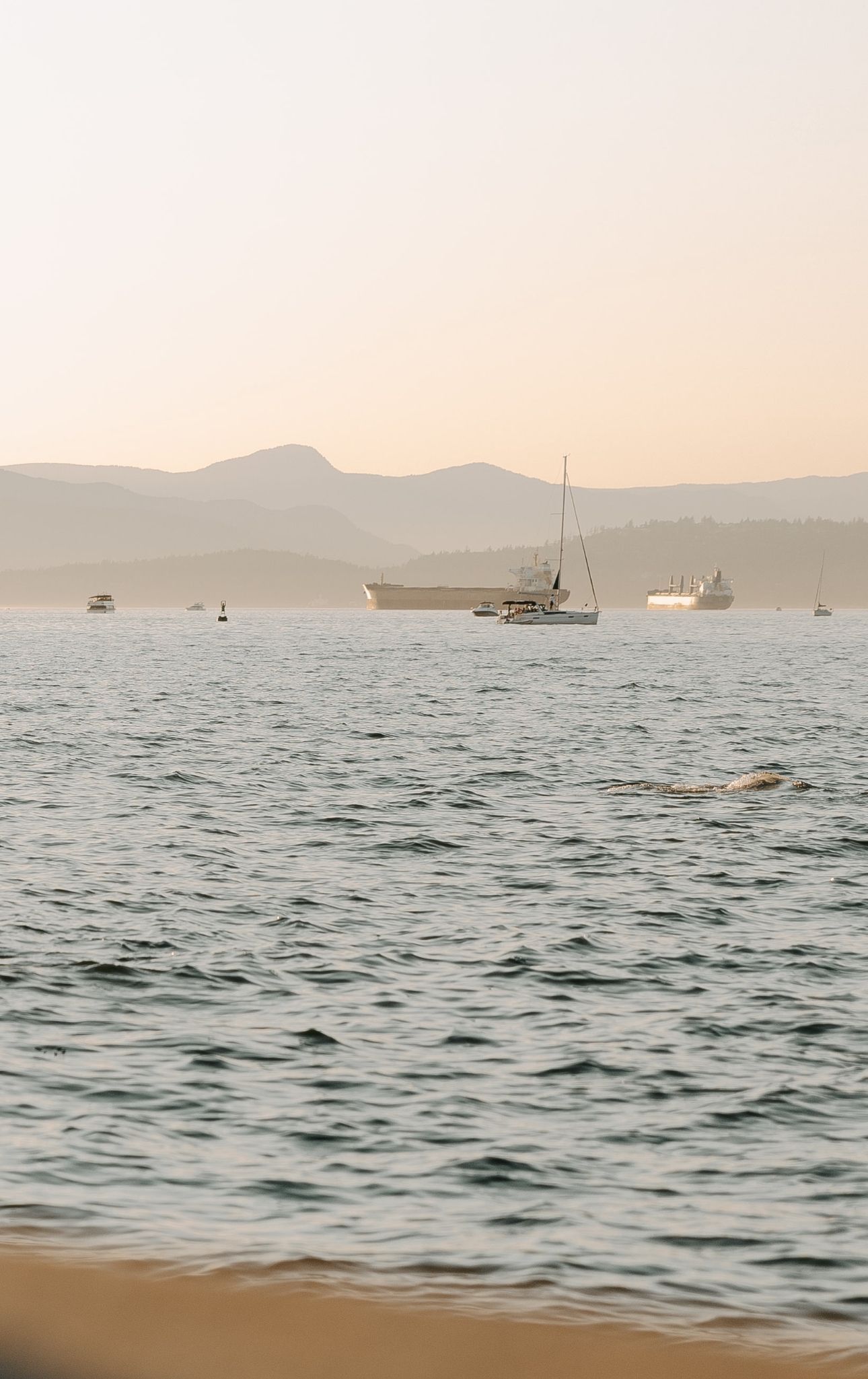 Tranquil ocean scene at sunset with boats anchored in the distance and mountains on the horizon.