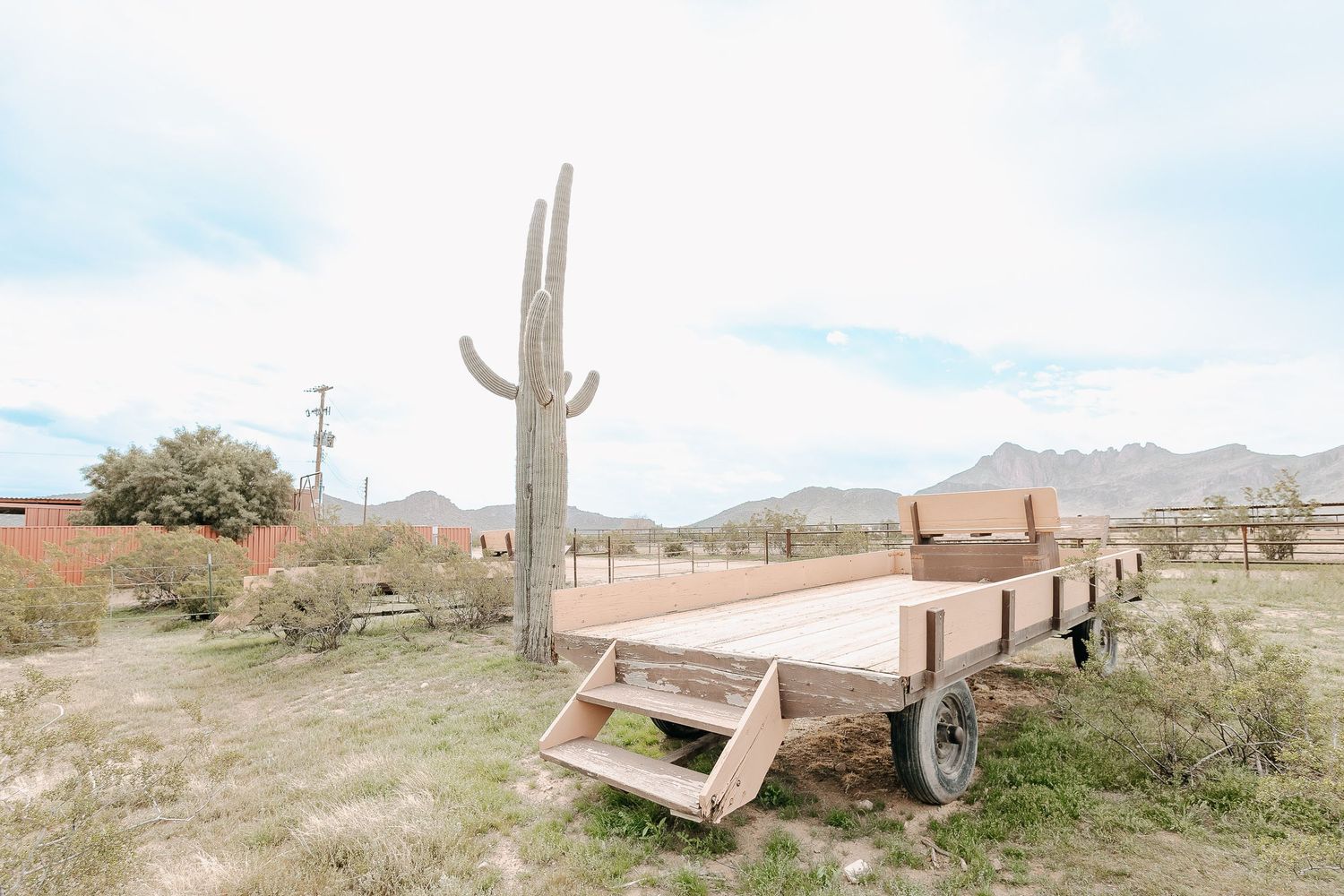 Desert landscape with wooden fence posts and saguaro cactus against clear sky.