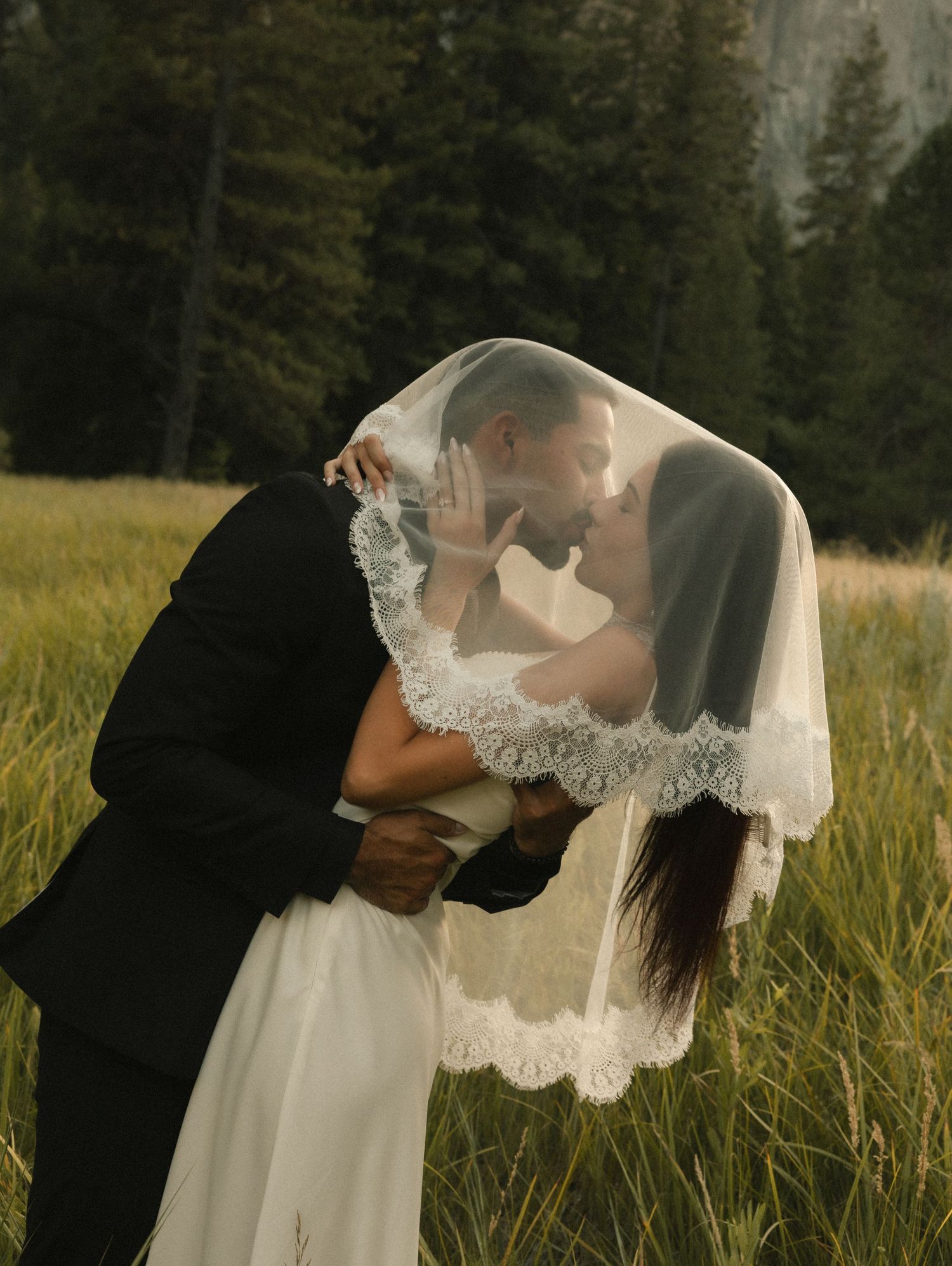 Bride and groom sharing a romantic kiss under a lace veil in a sunlit meadow with pine trees.
