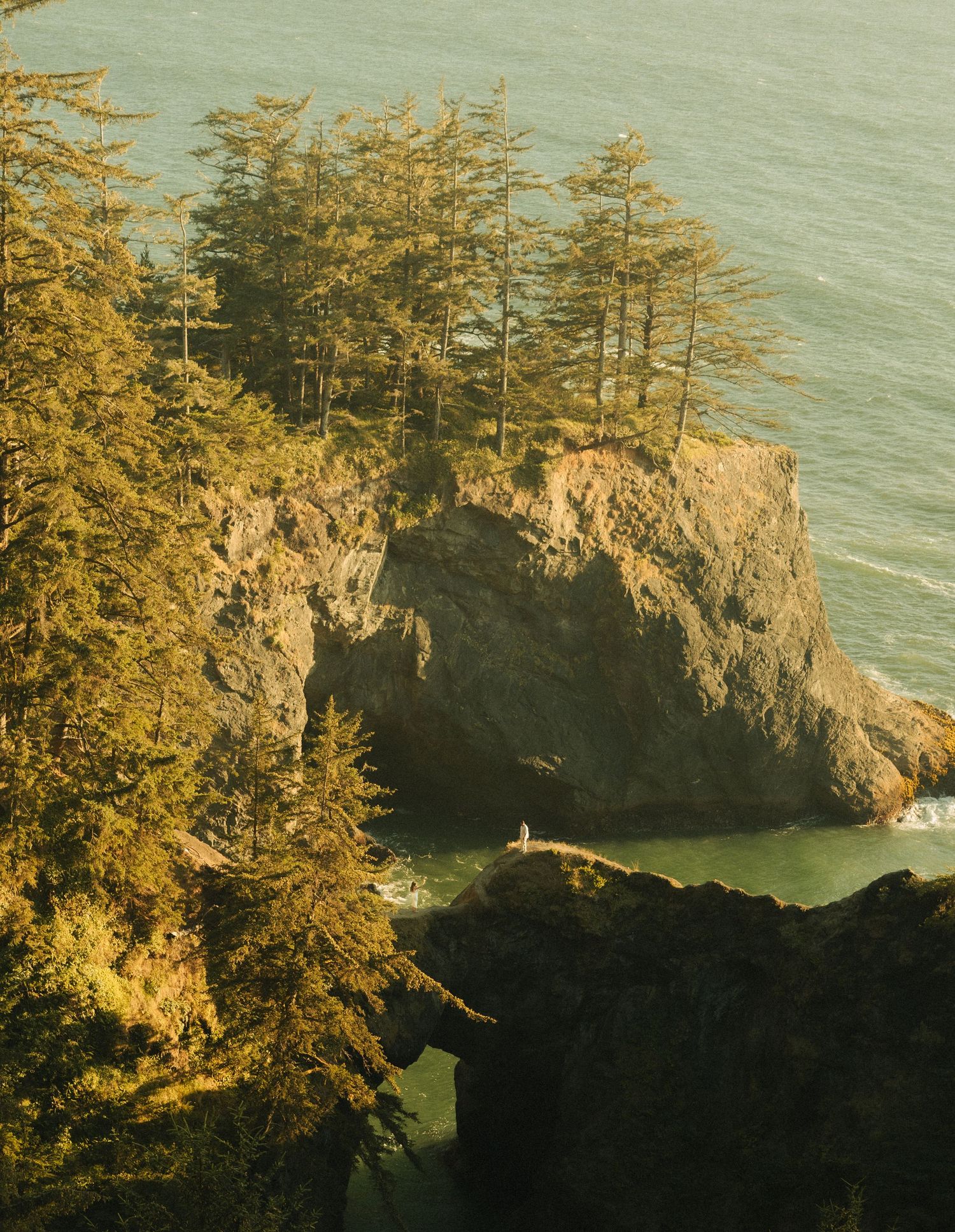 Rocky coastal cliff with evergreen trees overlooking turquoise ocean waters, with a lone figure standing at the base.