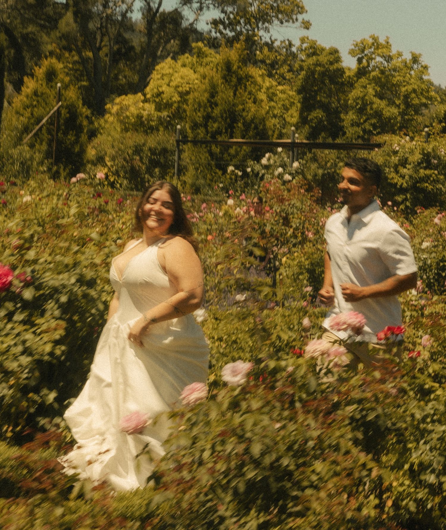A bride in a white gown and groom in white shirt walk joyfully through a lush rose garden on a sunny day.