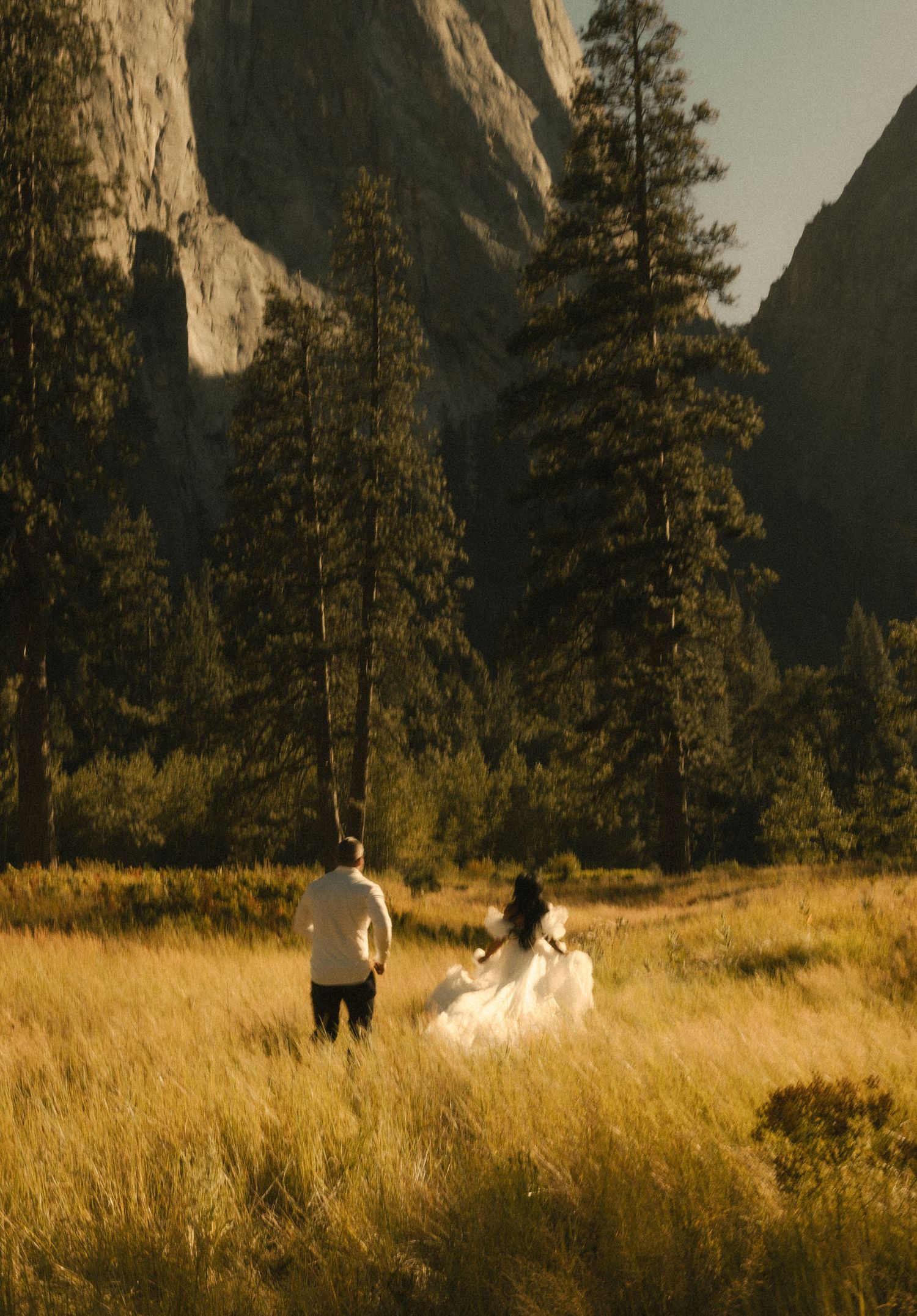 Couple in wedding attire running through golden meadow with tall pines and granite cliffs in Yosemite Valley.