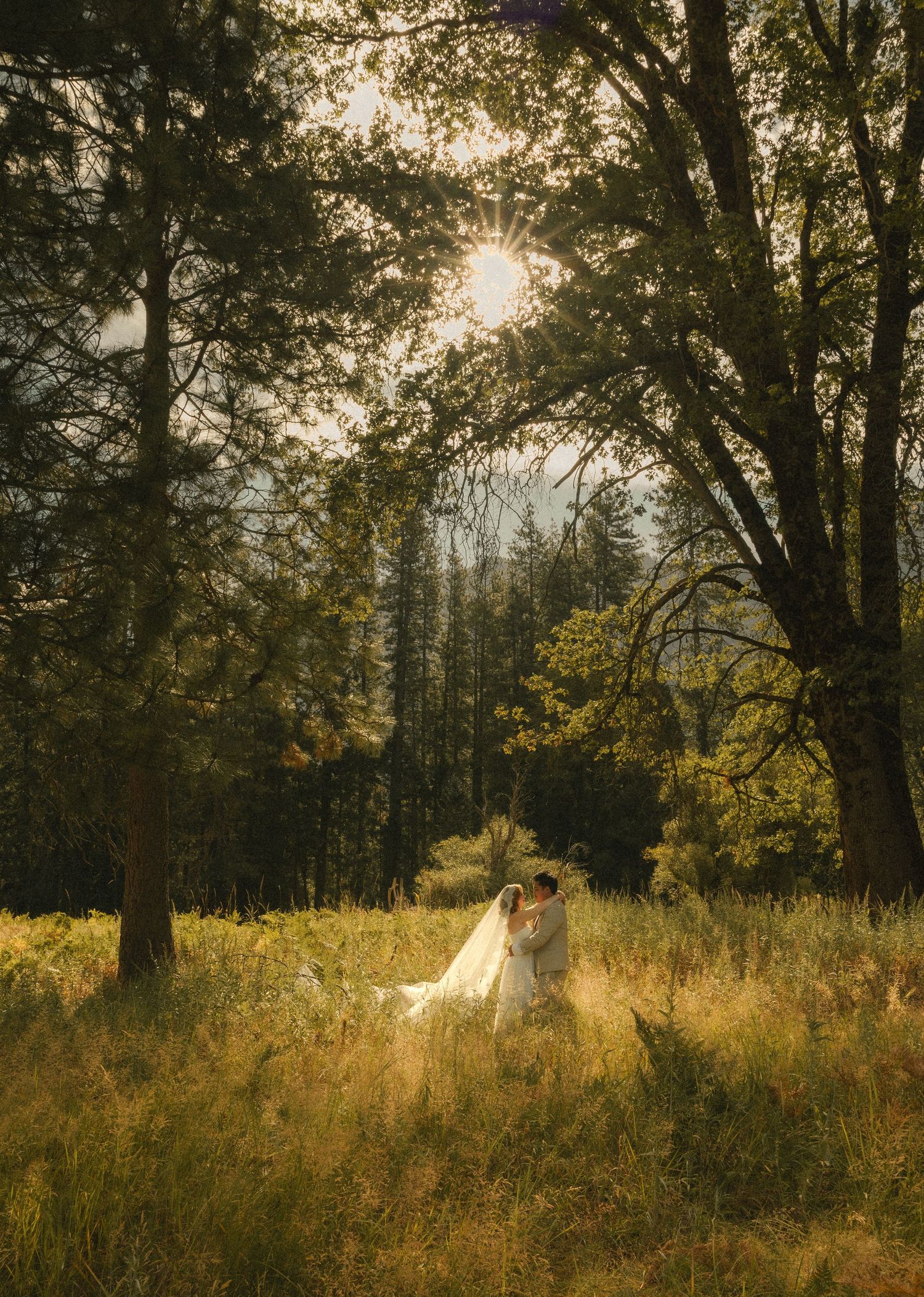 Bride and groom embrace in sunlit forest meadow with golden light filtering through tall trees during outdoor wedding.