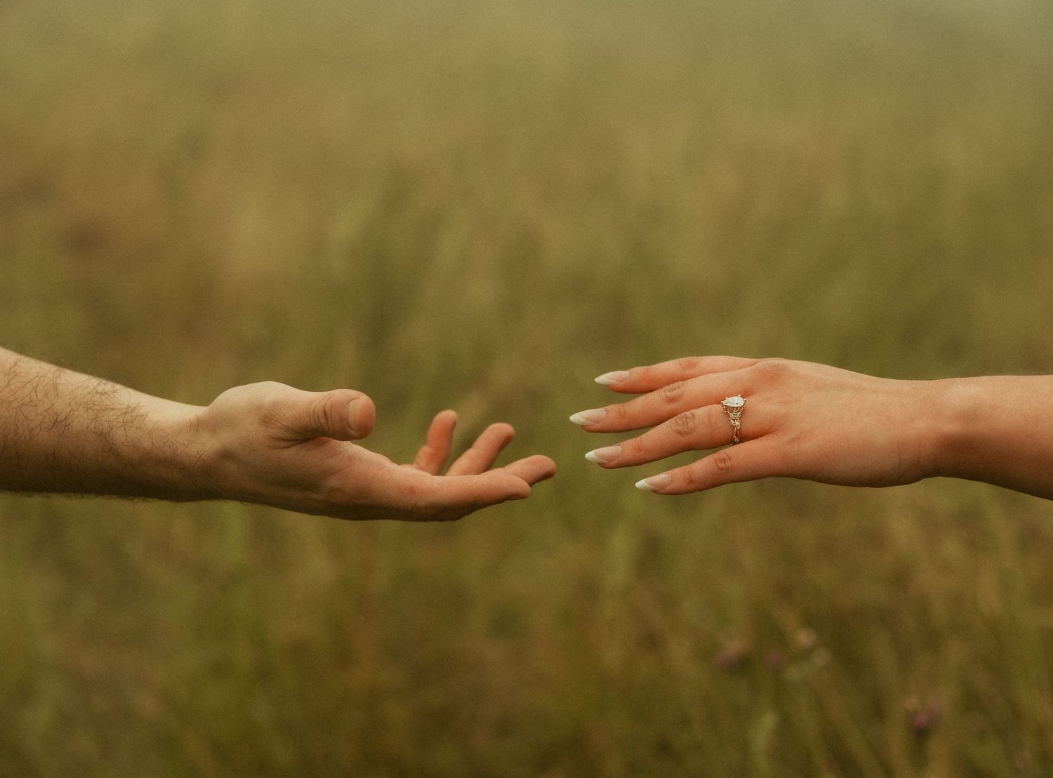 Two hands reaching toward each other in a field, one wearing a diamond engagement ring, symbolizing love and proposal.