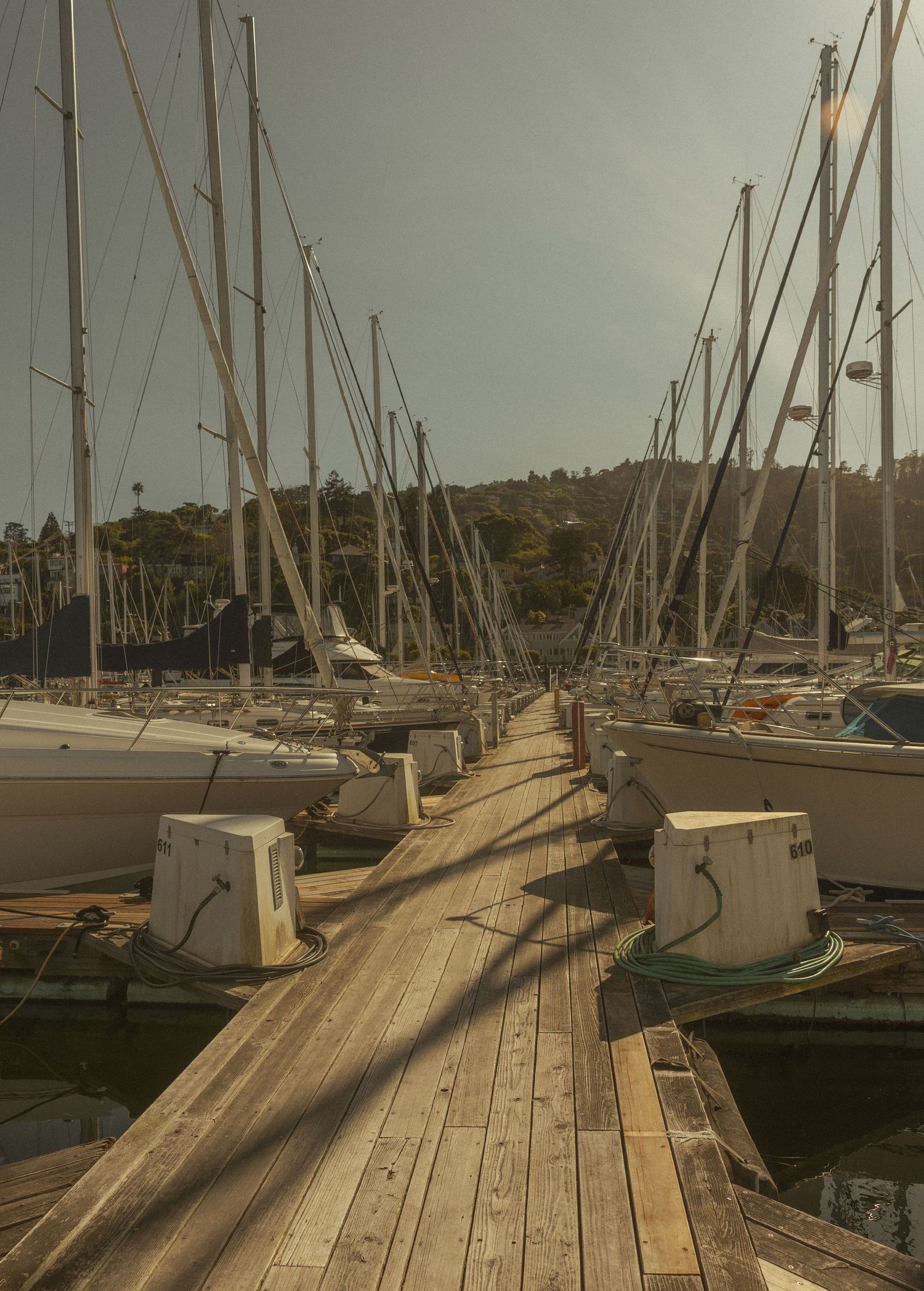 Wooden dock stretches through marina filled with sailboat masts under overcast sky.