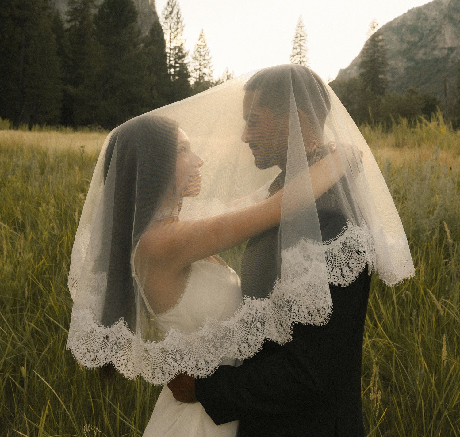 Bride and groom share romantic moment under wedding veil in sunlit meadow surrounded by pine trees.