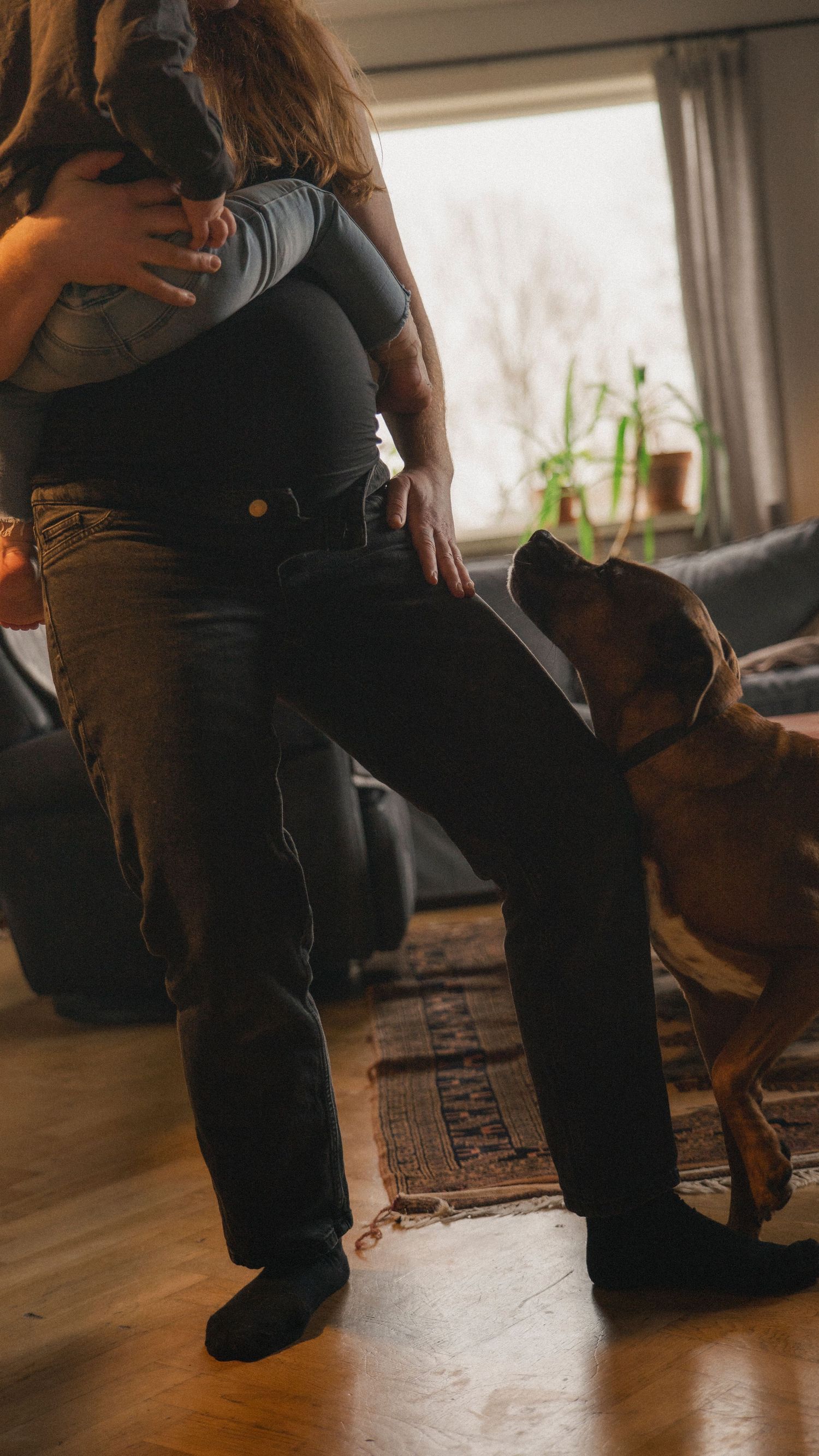 Dans i vardagen under en dokumentär gravidfotografering medan familjens hund också vill vara med