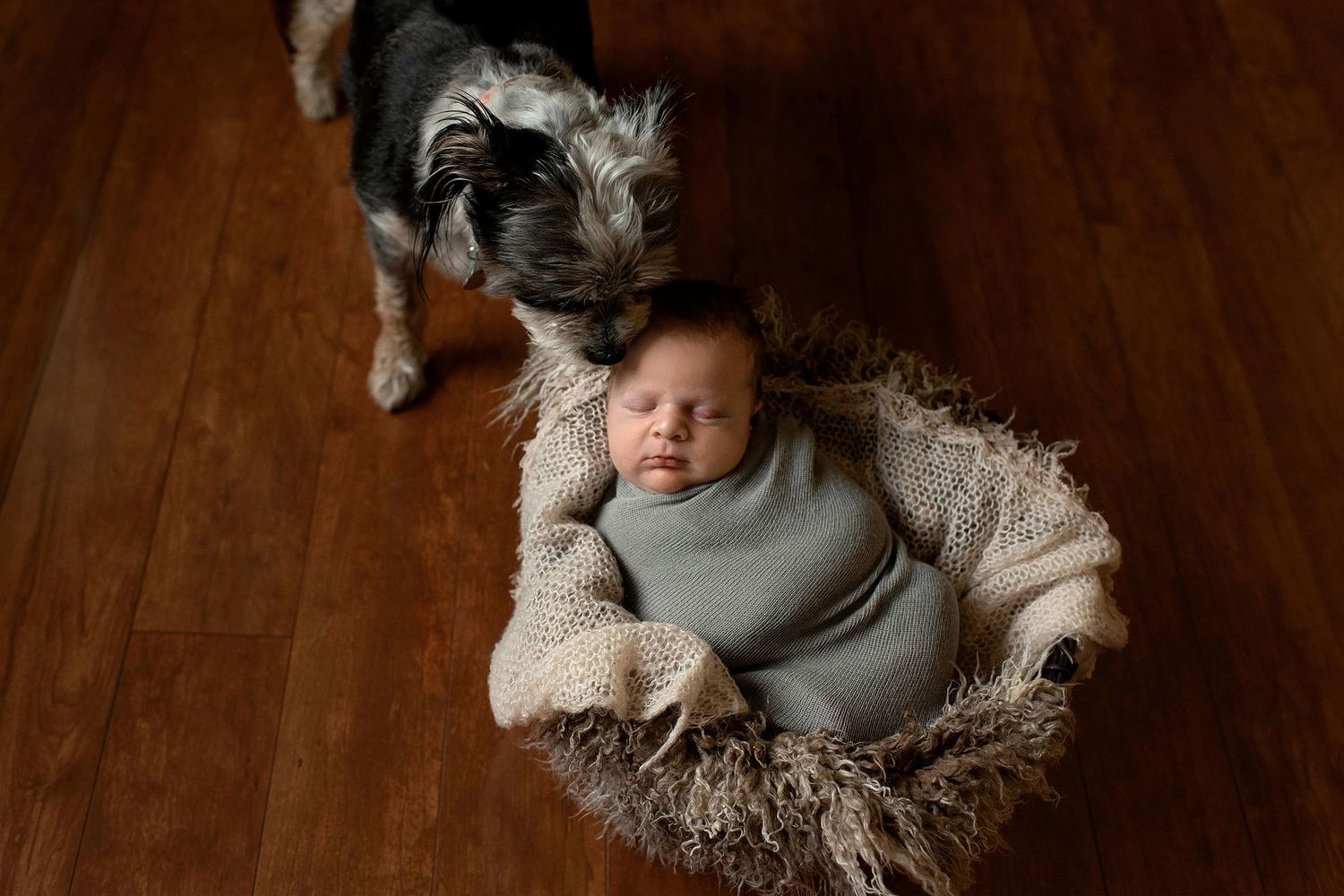 Newborn baby and puppy